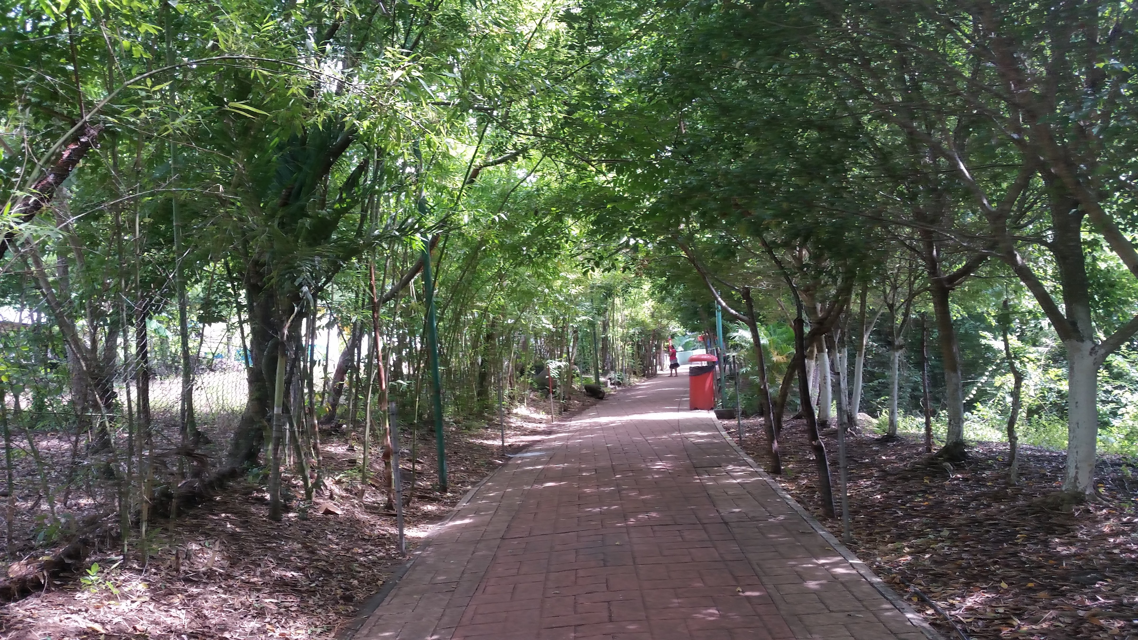 Restaurant Sazón Veracruzano image 6