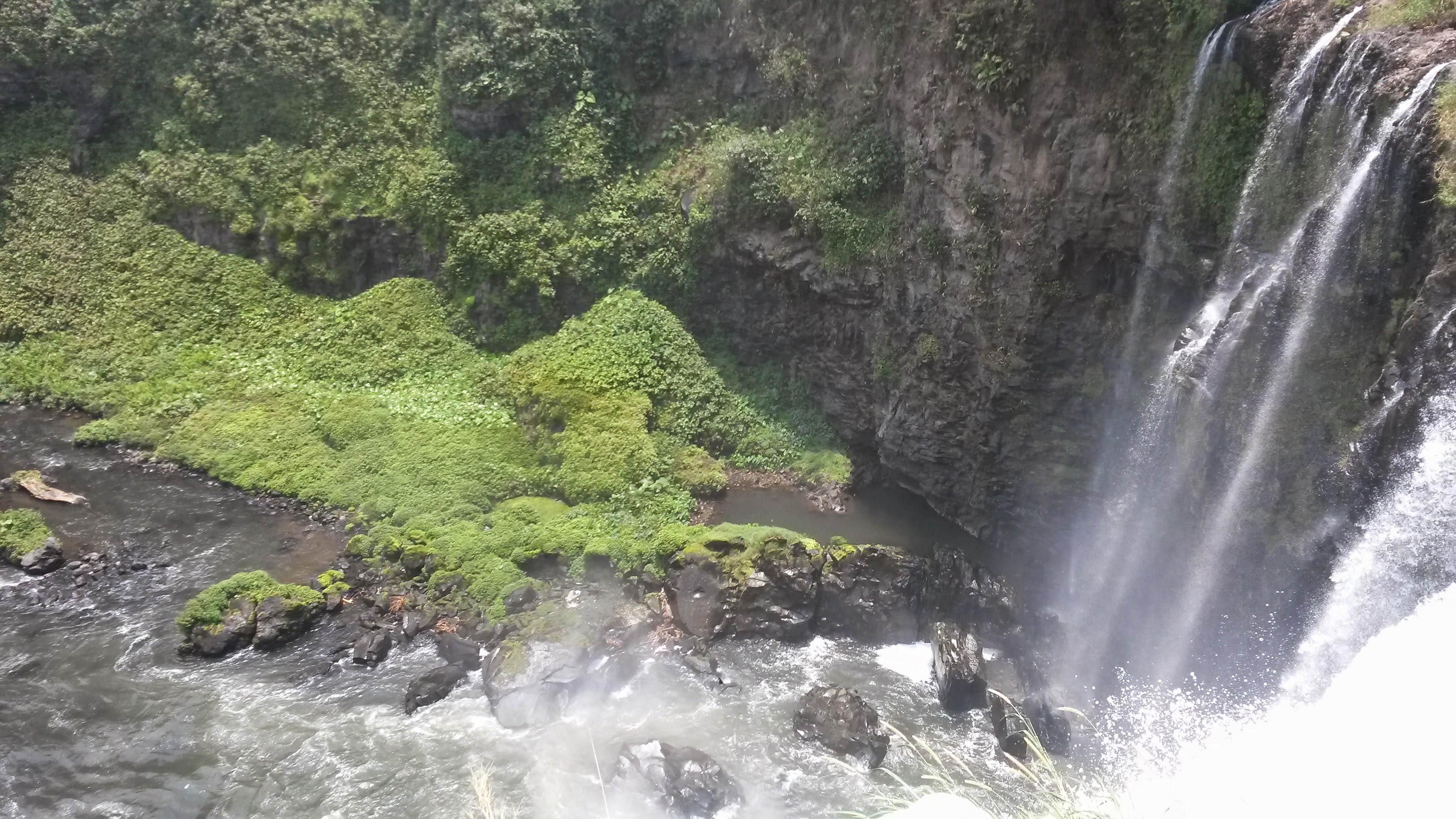 Restaurant Sazón Veracruzano image 7