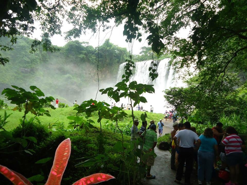 Restaurant Sazón Veracruzano image 8