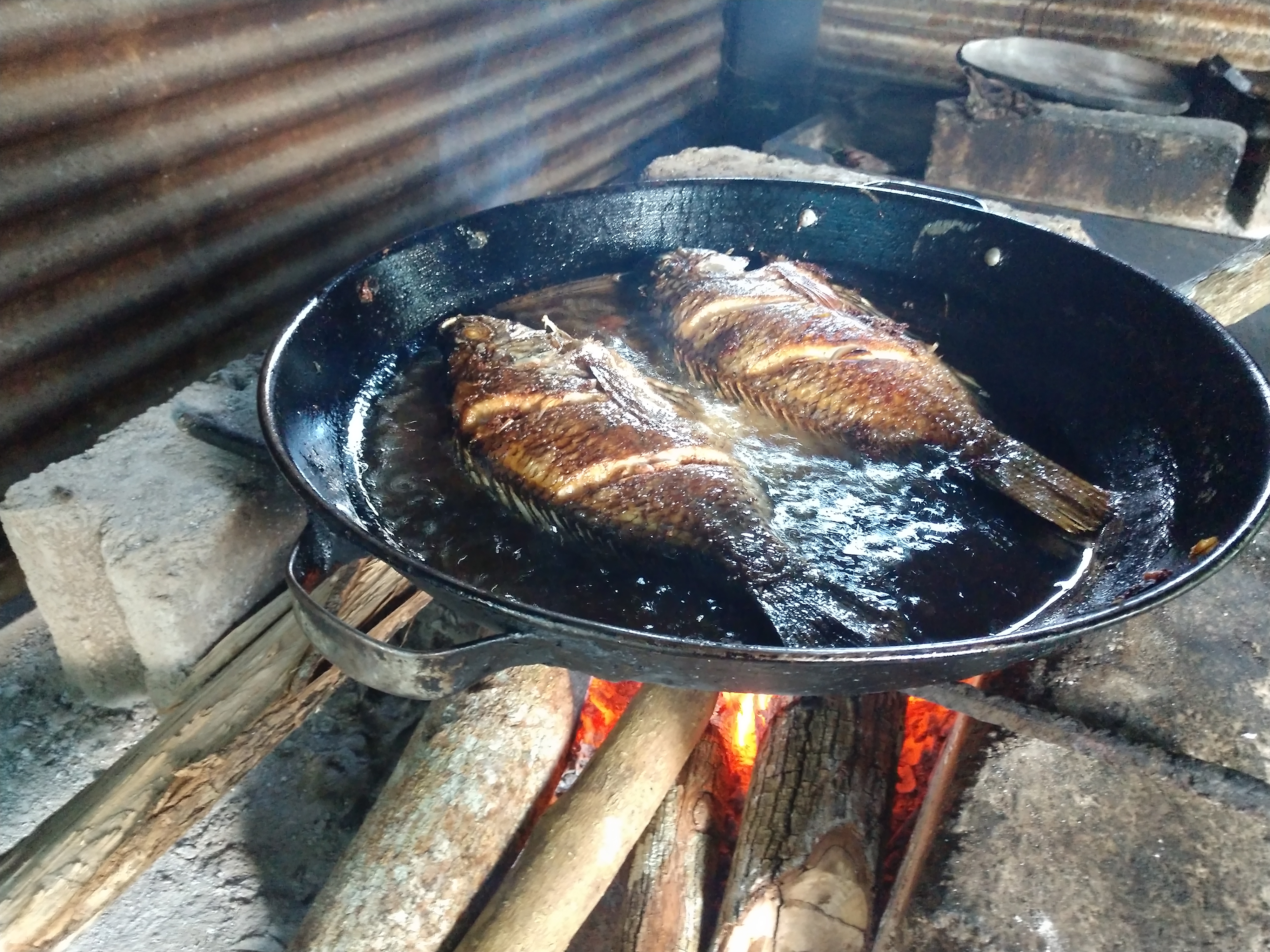 PALAPA "BELLI" (Don seba) image 1