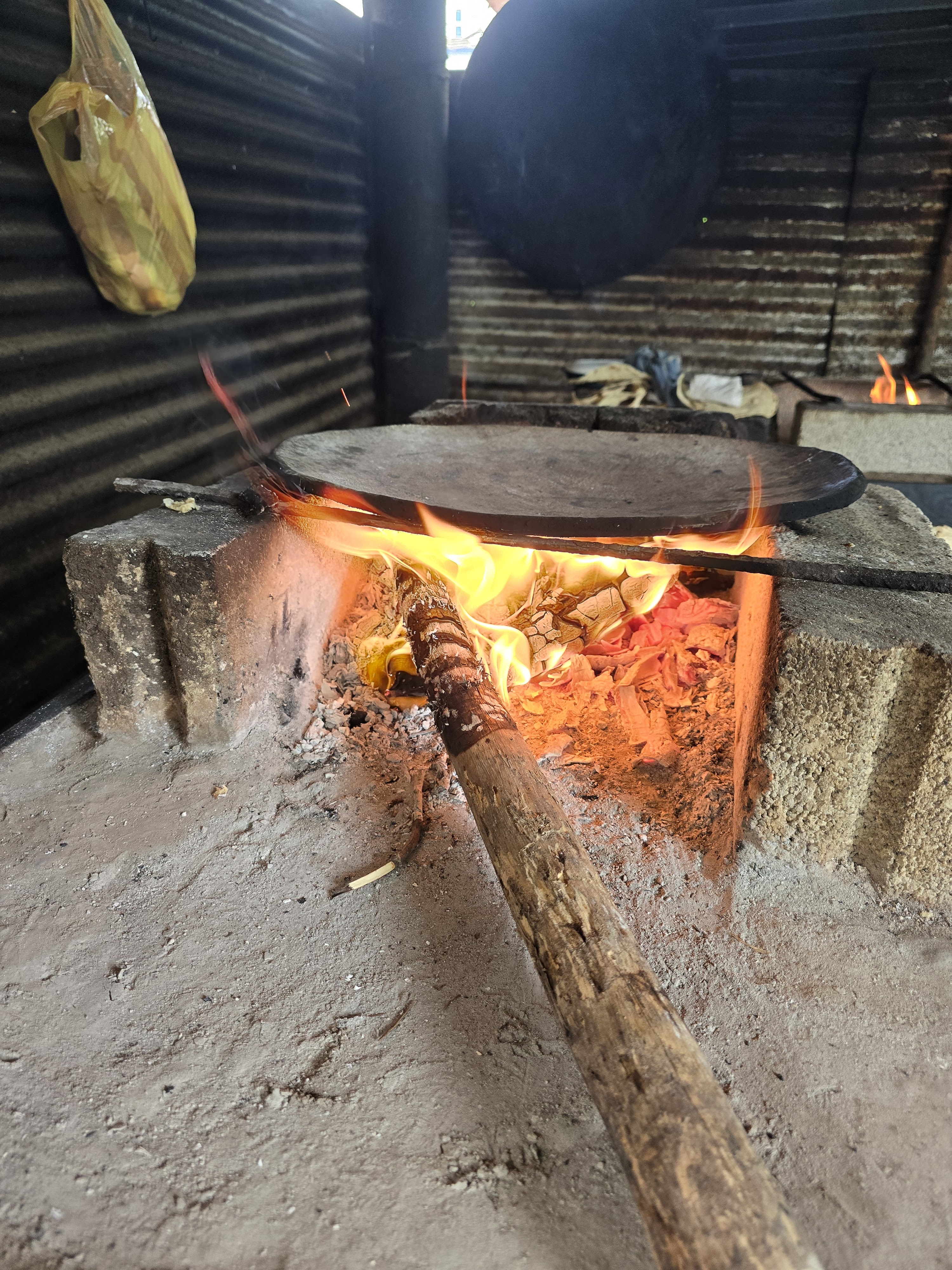 PALAPA "BELLI" (Don seba) image 2