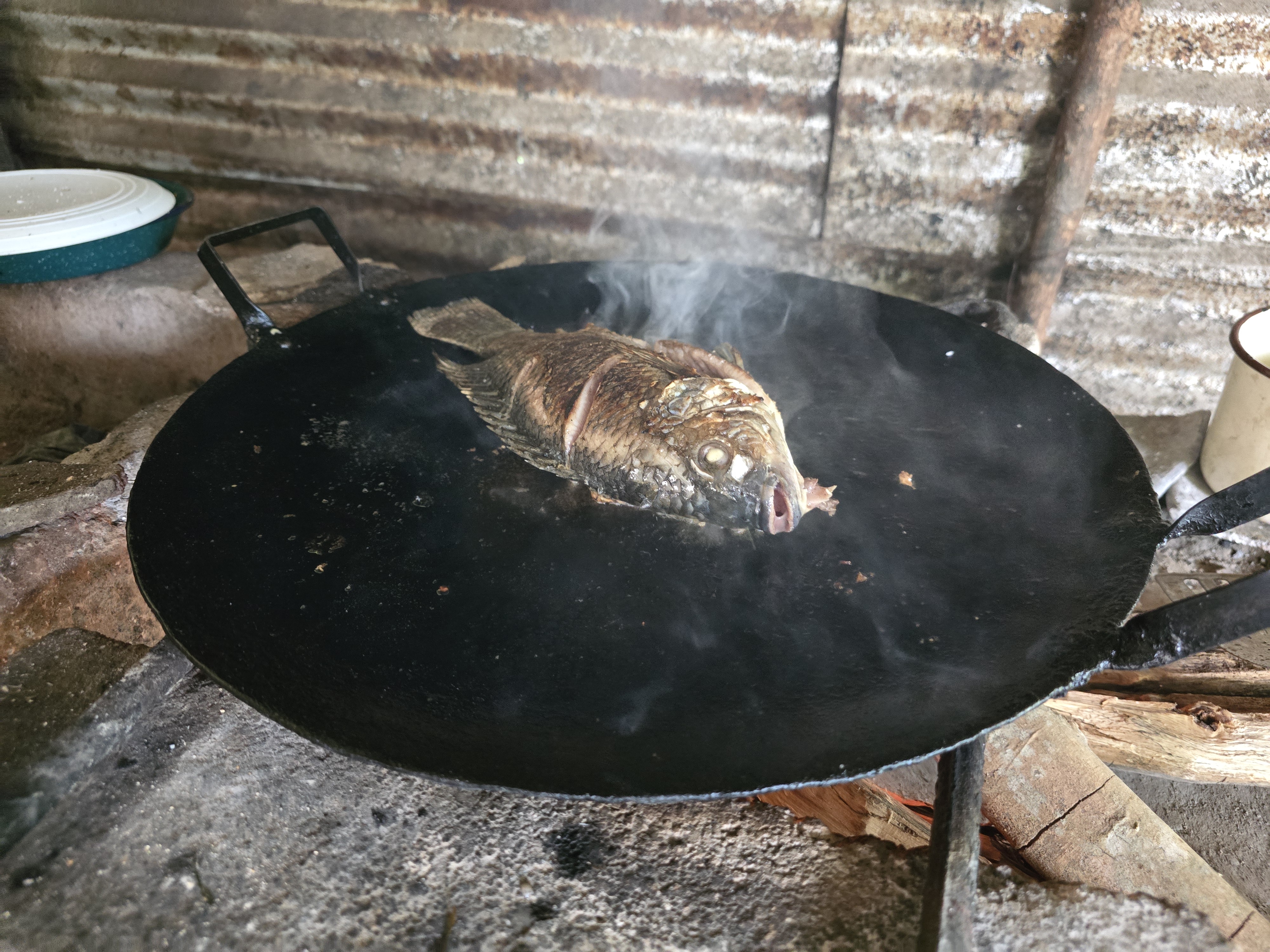 PALAPA "BELLI" (Don seba) image 4