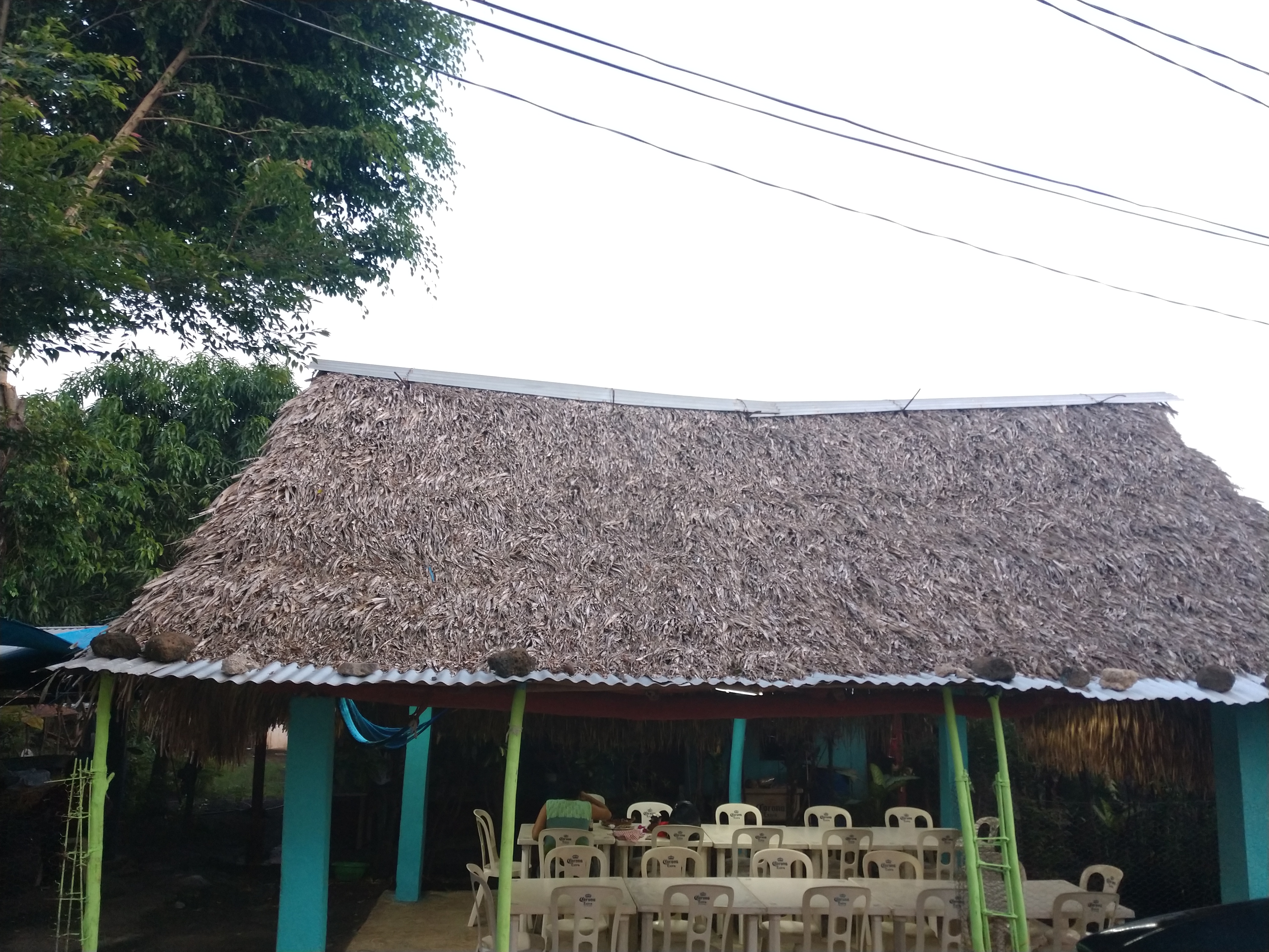 PALAPA "BELLI" (Don seba) image 5
