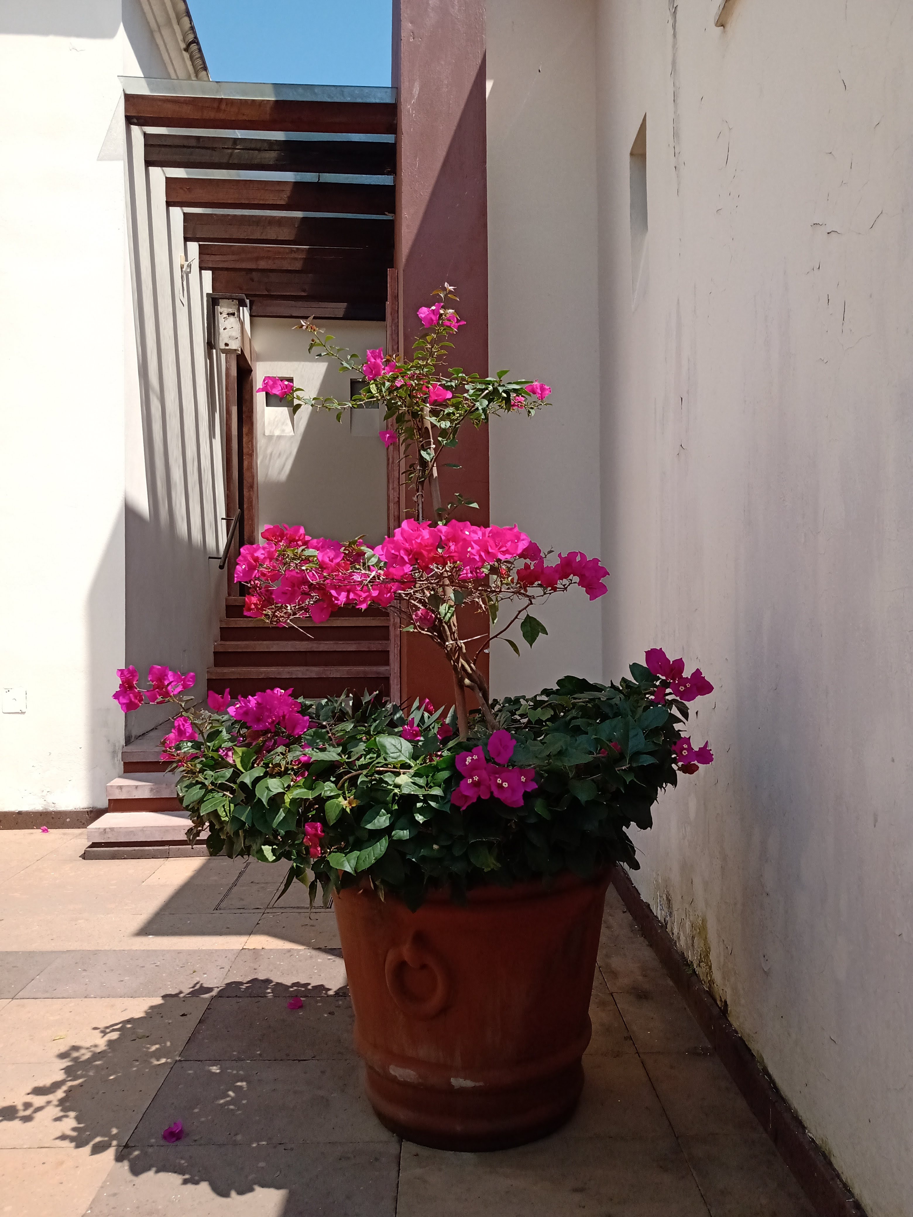 Restaurant Colonial Posada. image 3