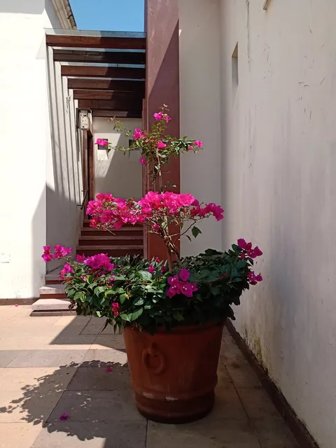 Restaurant Colonial Posada. image 3