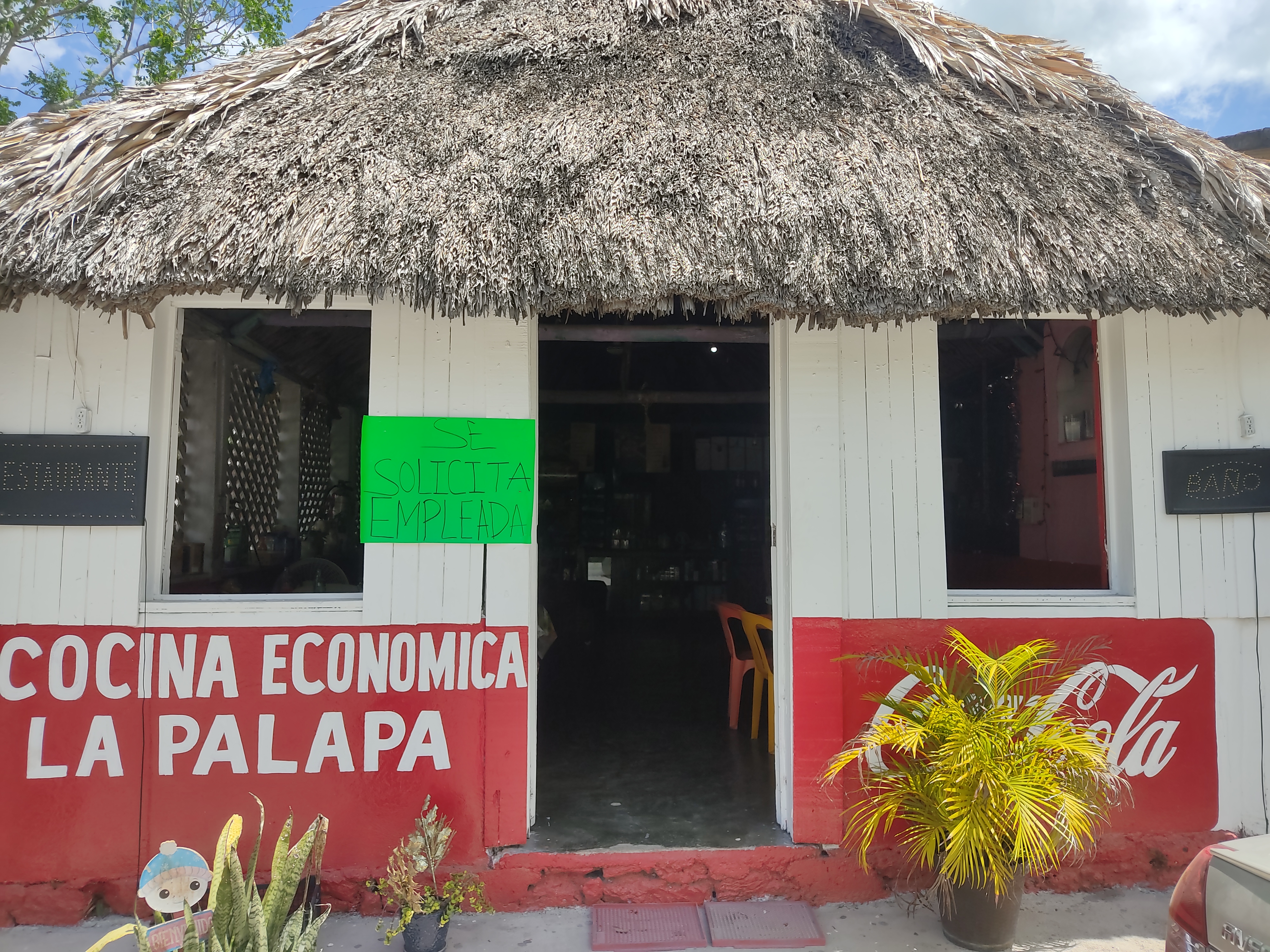 La Palapa image 1