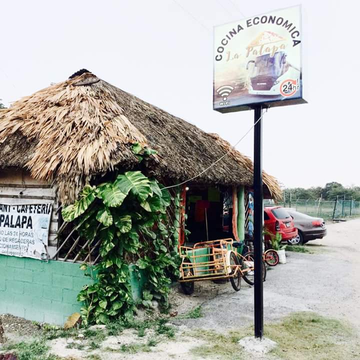 La Palapa image 10