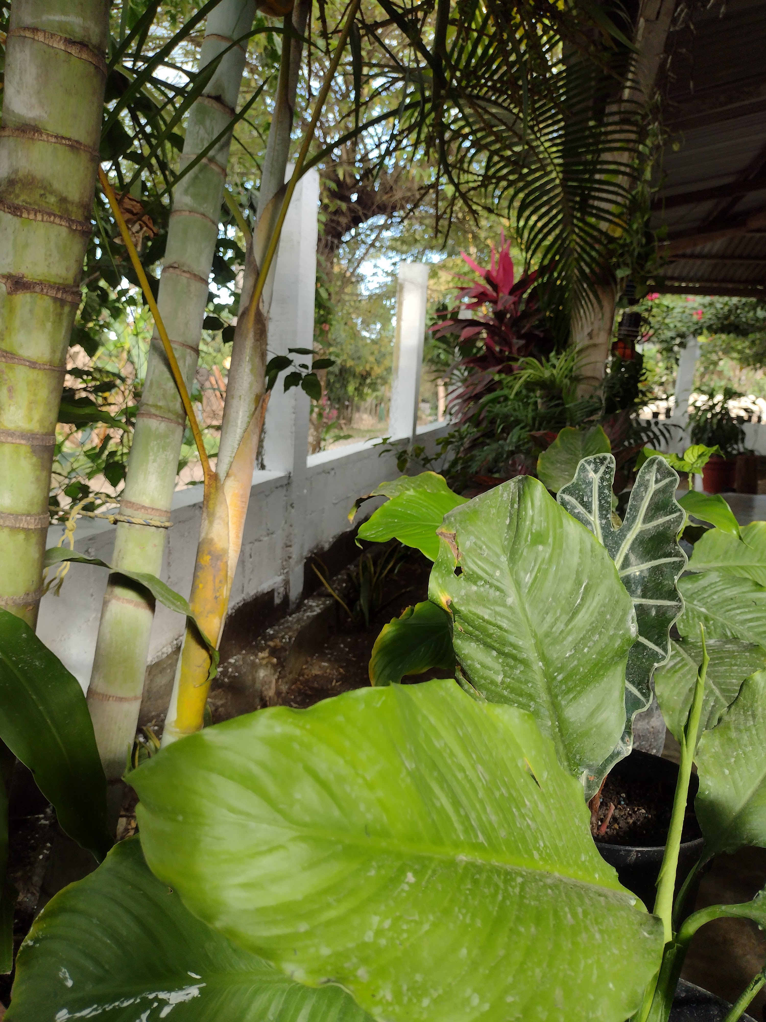 Taquería Doña Flor image 2