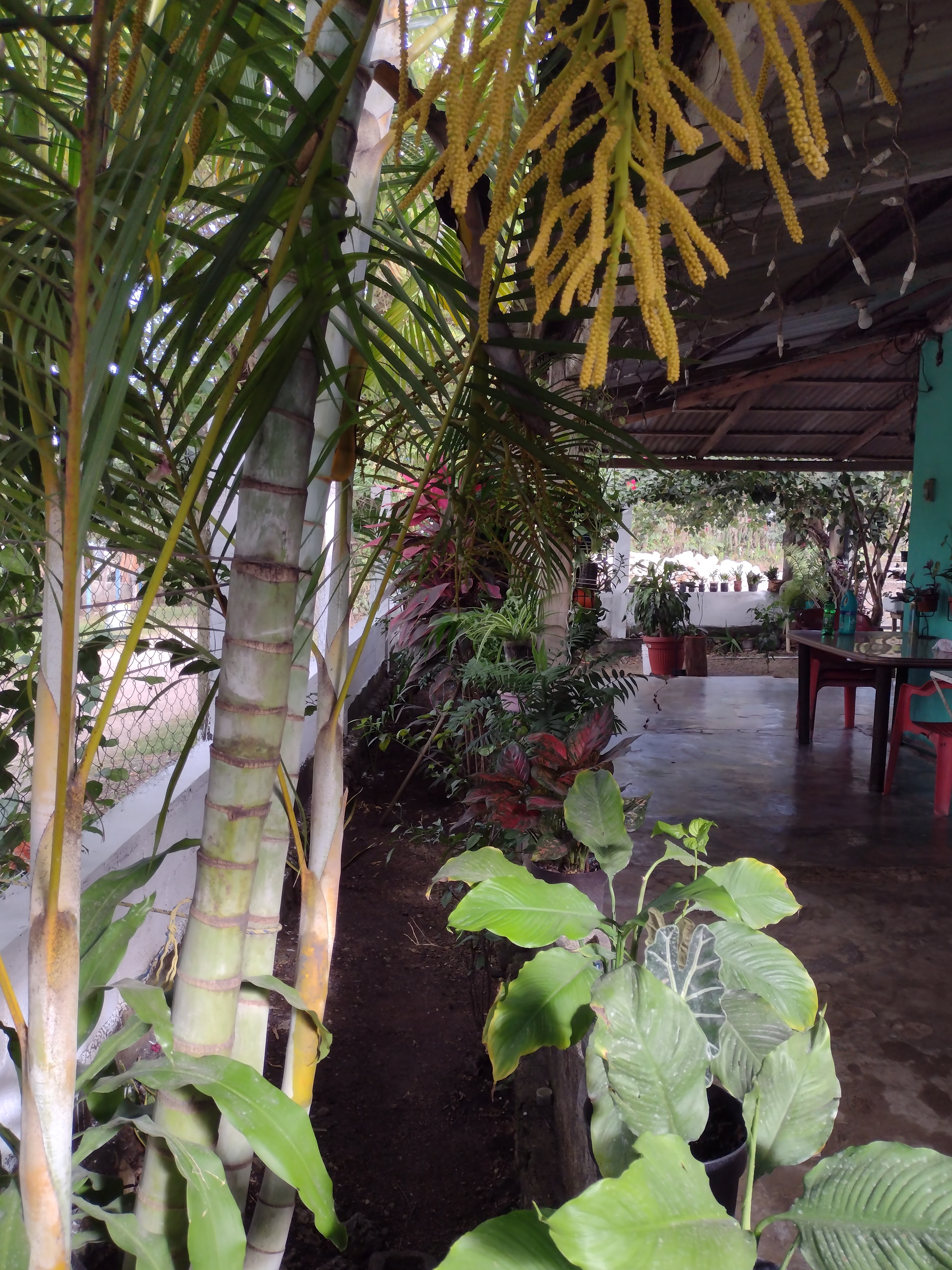 Taquería Doña Flor image 4