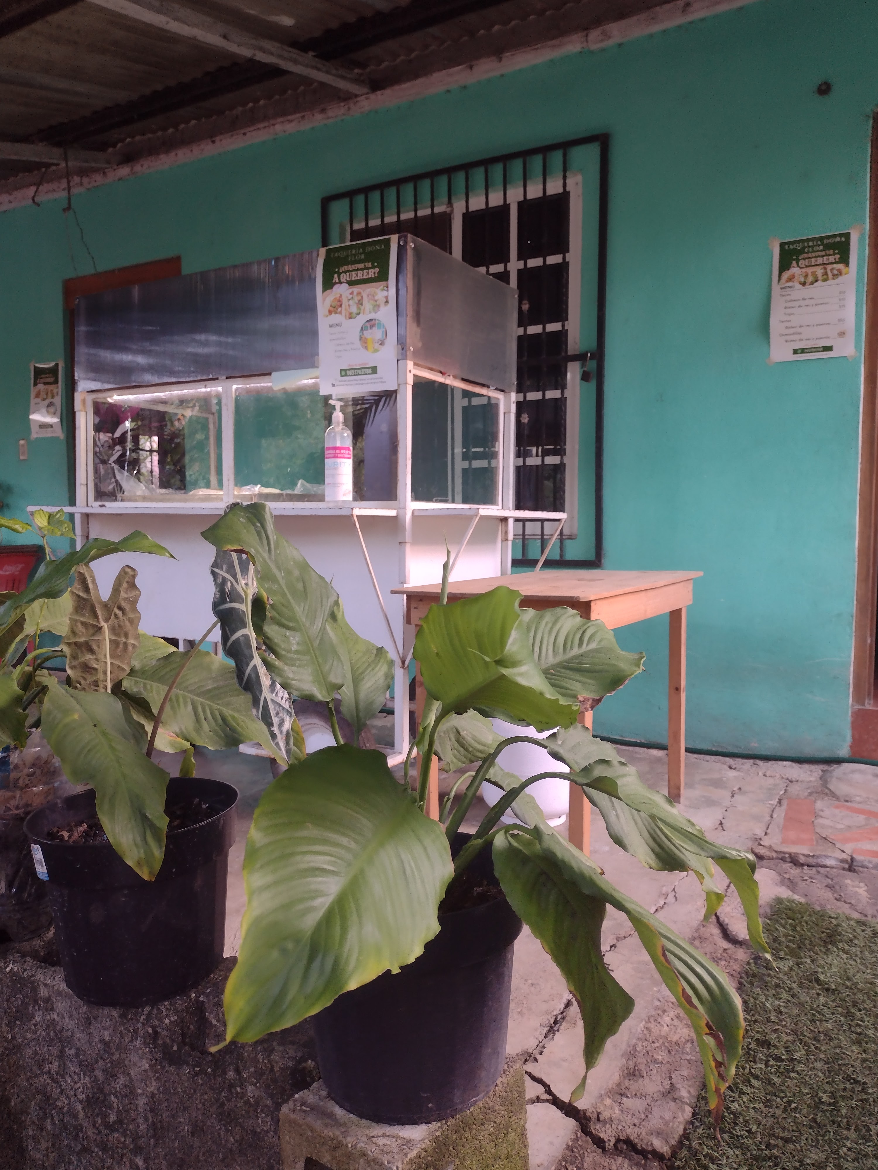 Taquería Doña Flor image 6