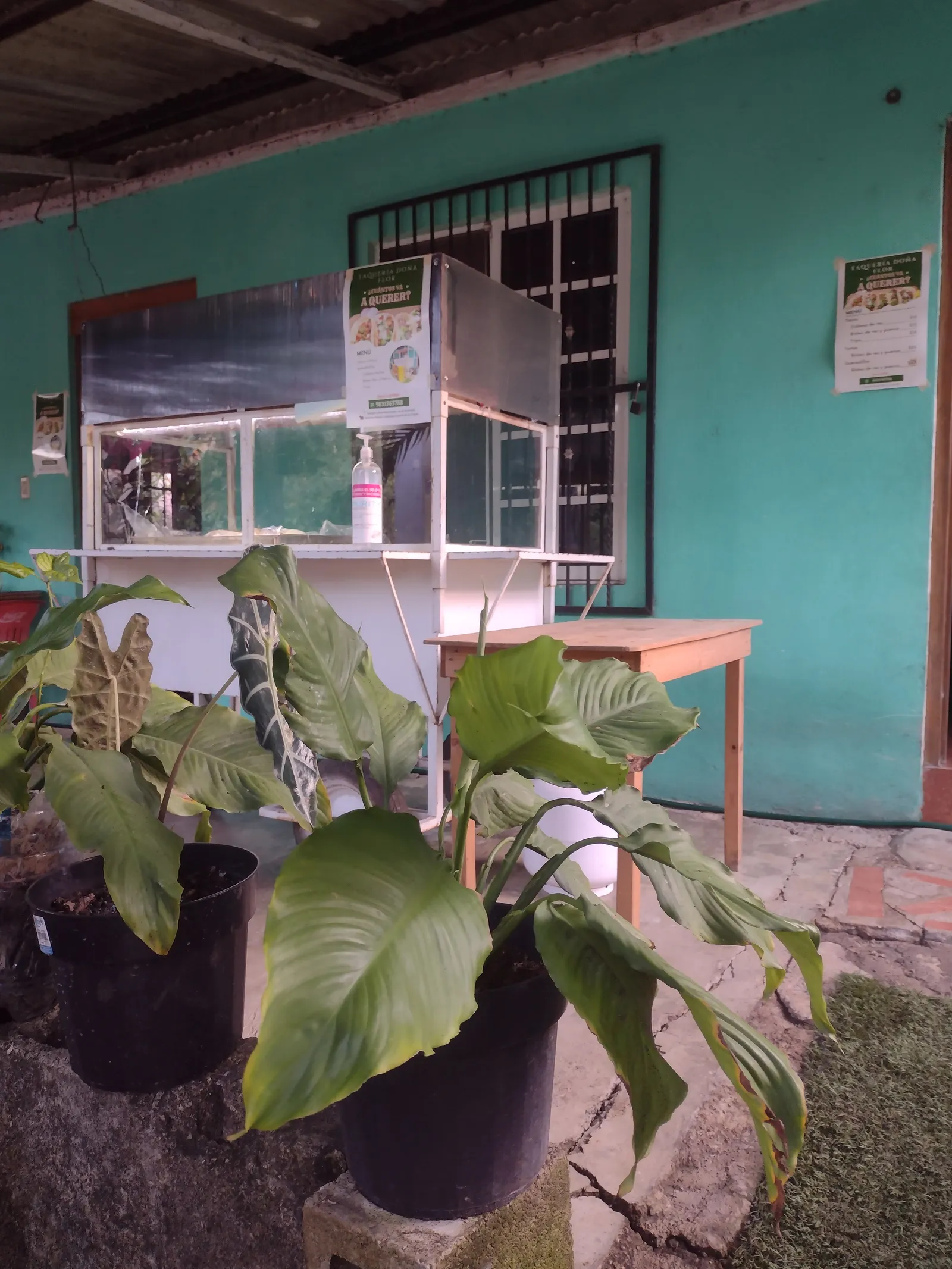 Taquería Doña Flor image 6
