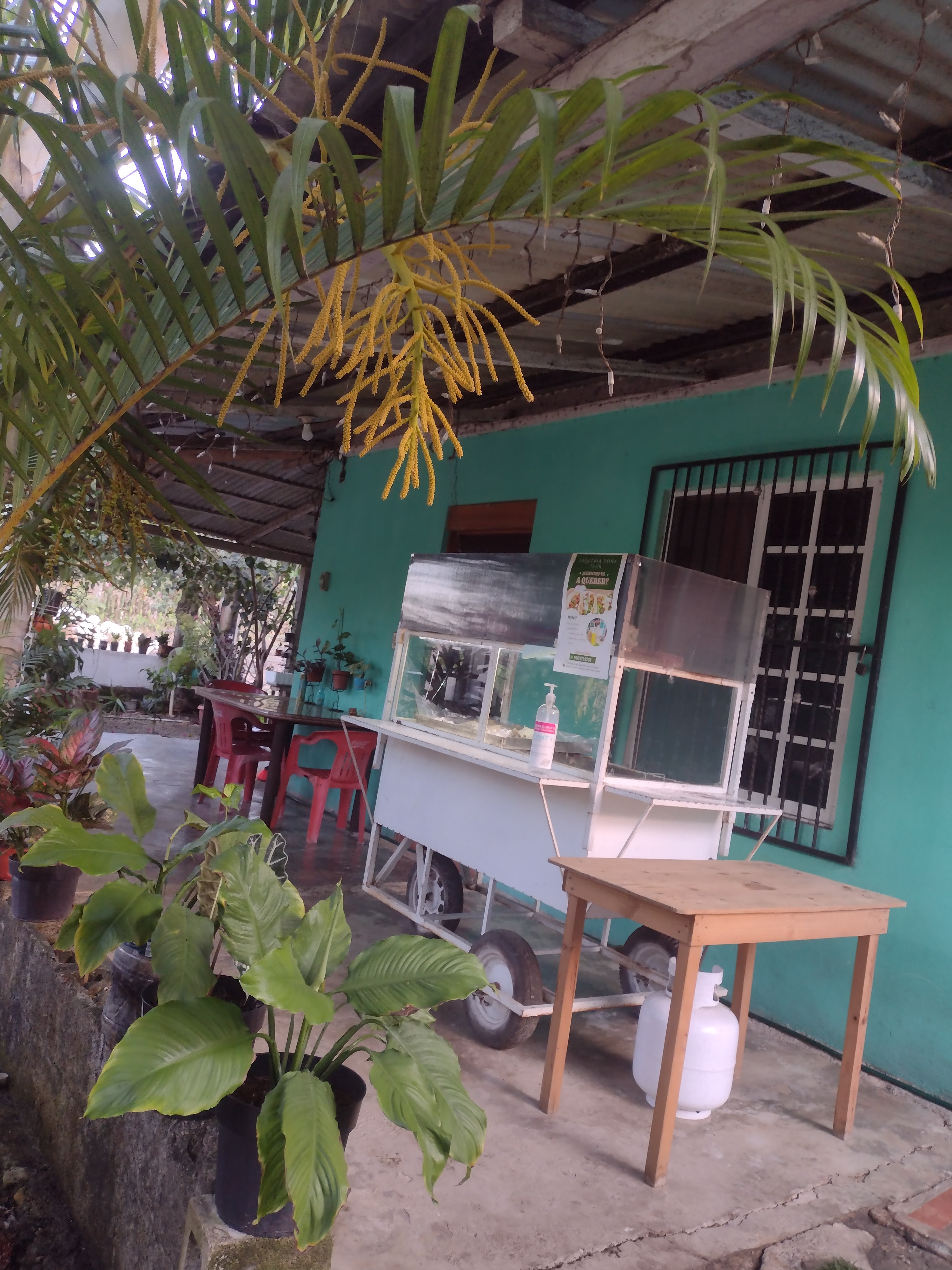 Taquería Doña Flor image 8