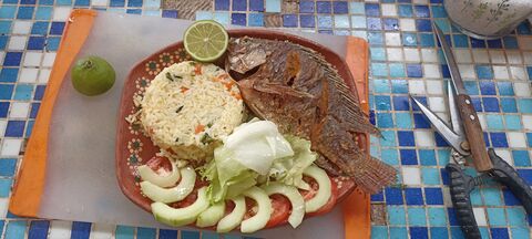 Aguachiles y clamatos "Los tóxicos" image 2