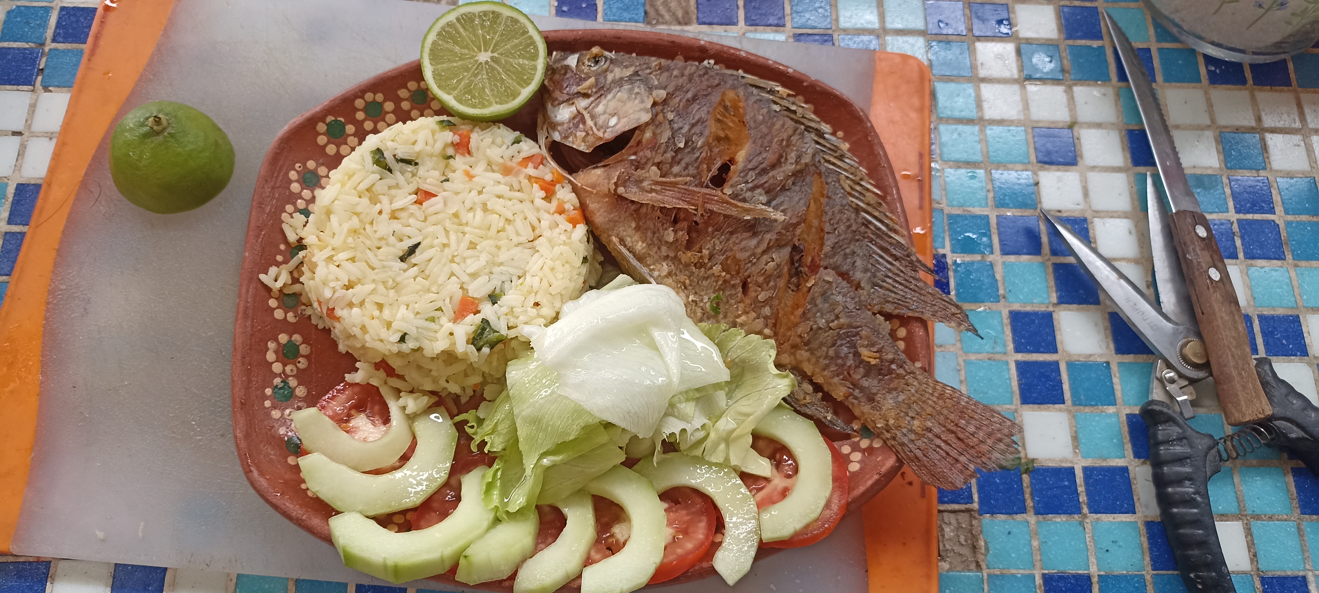 Aguachiles y clamatos "Los tóxicos" image 9