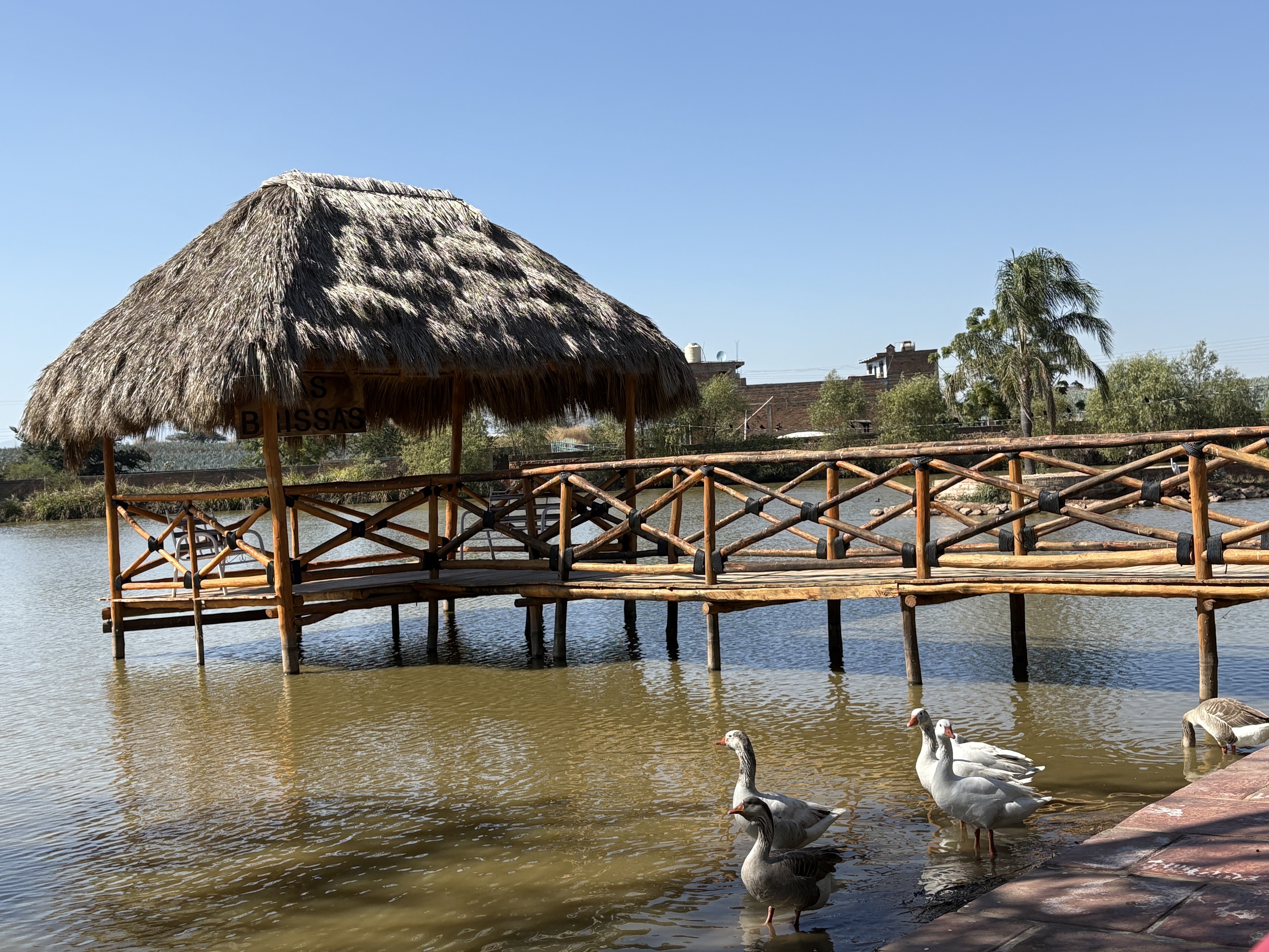 Restaurante campestre "Las Brisas" image 7