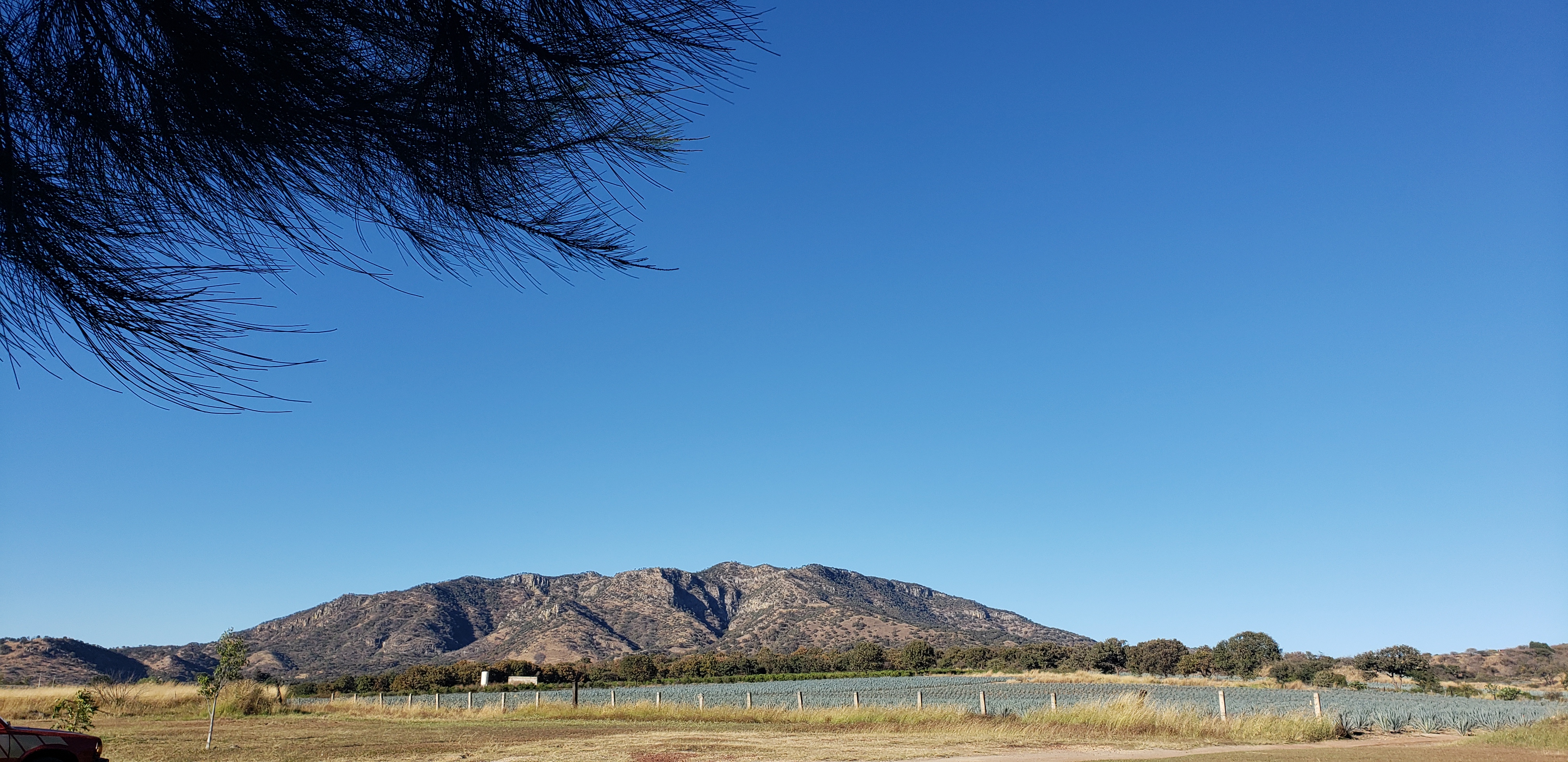 Restaurante campestre "Las Brisas" image 10
