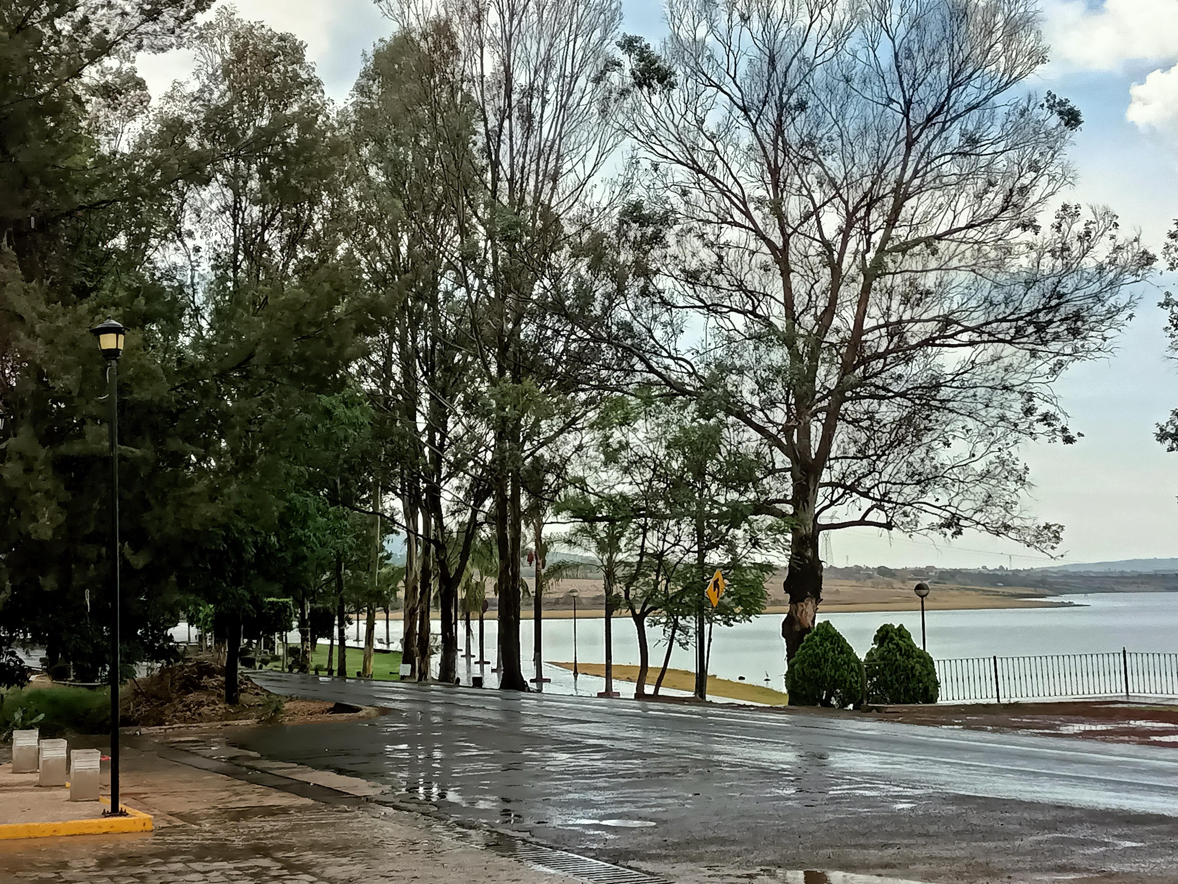 Cevicheria concepto image 6