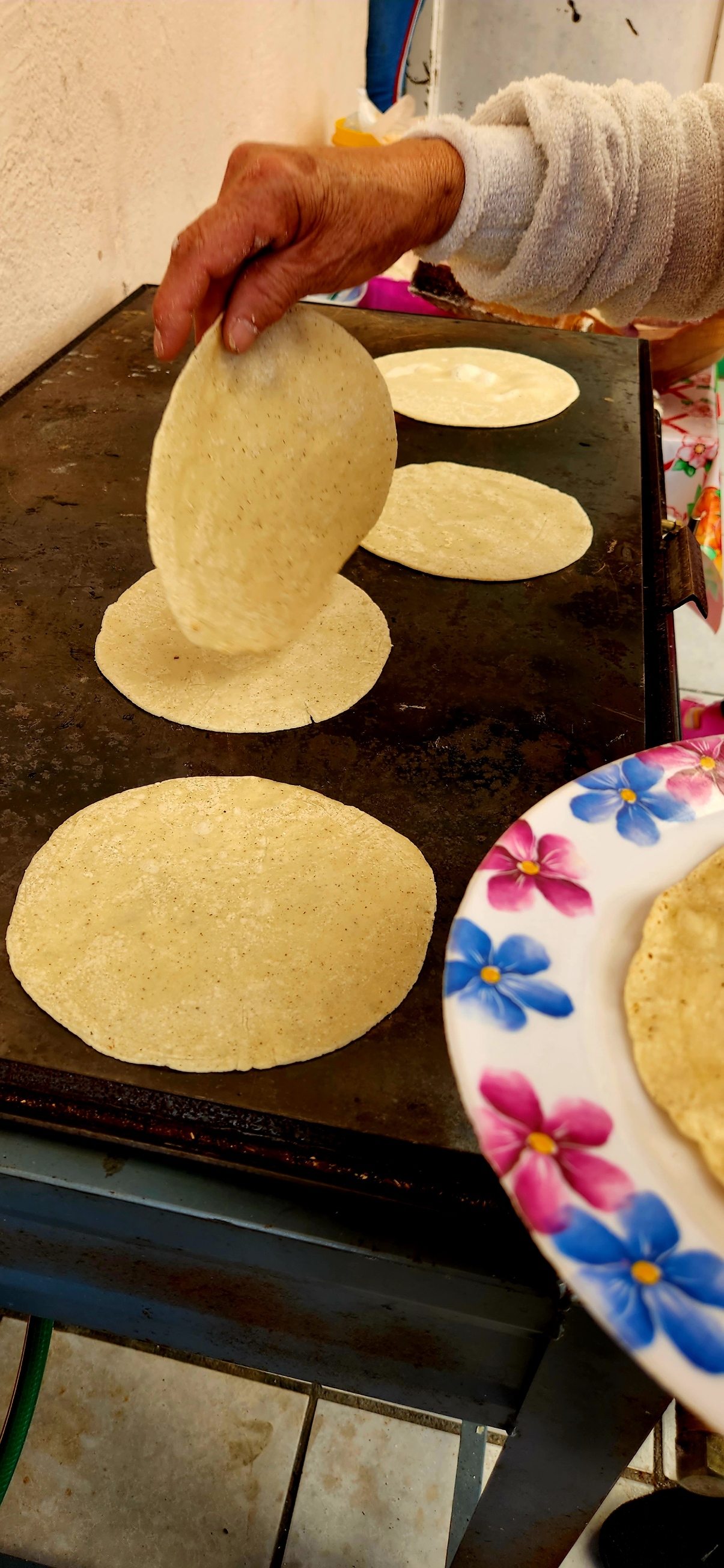 Menuderia Anahi image 3