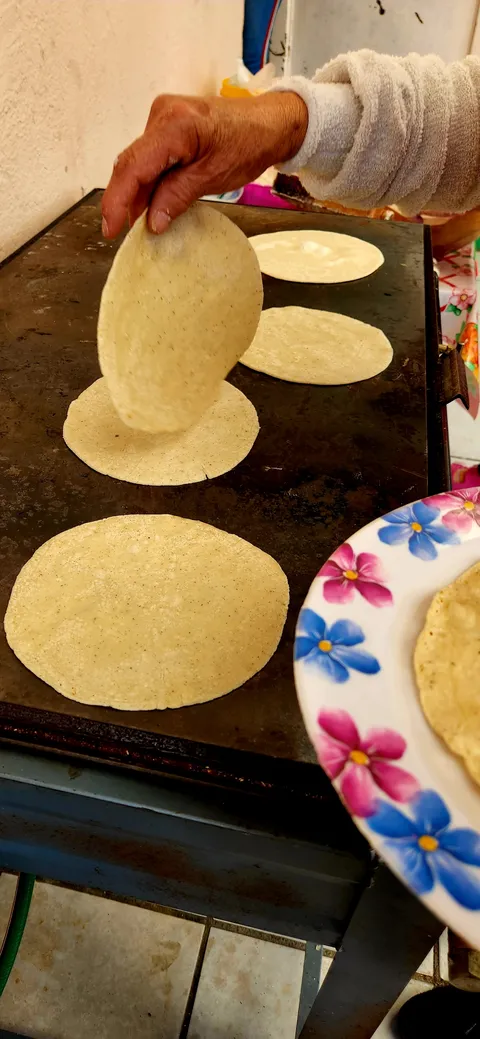 Menuderia Anahi image 3