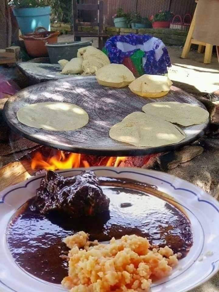 Cocina economica image 4