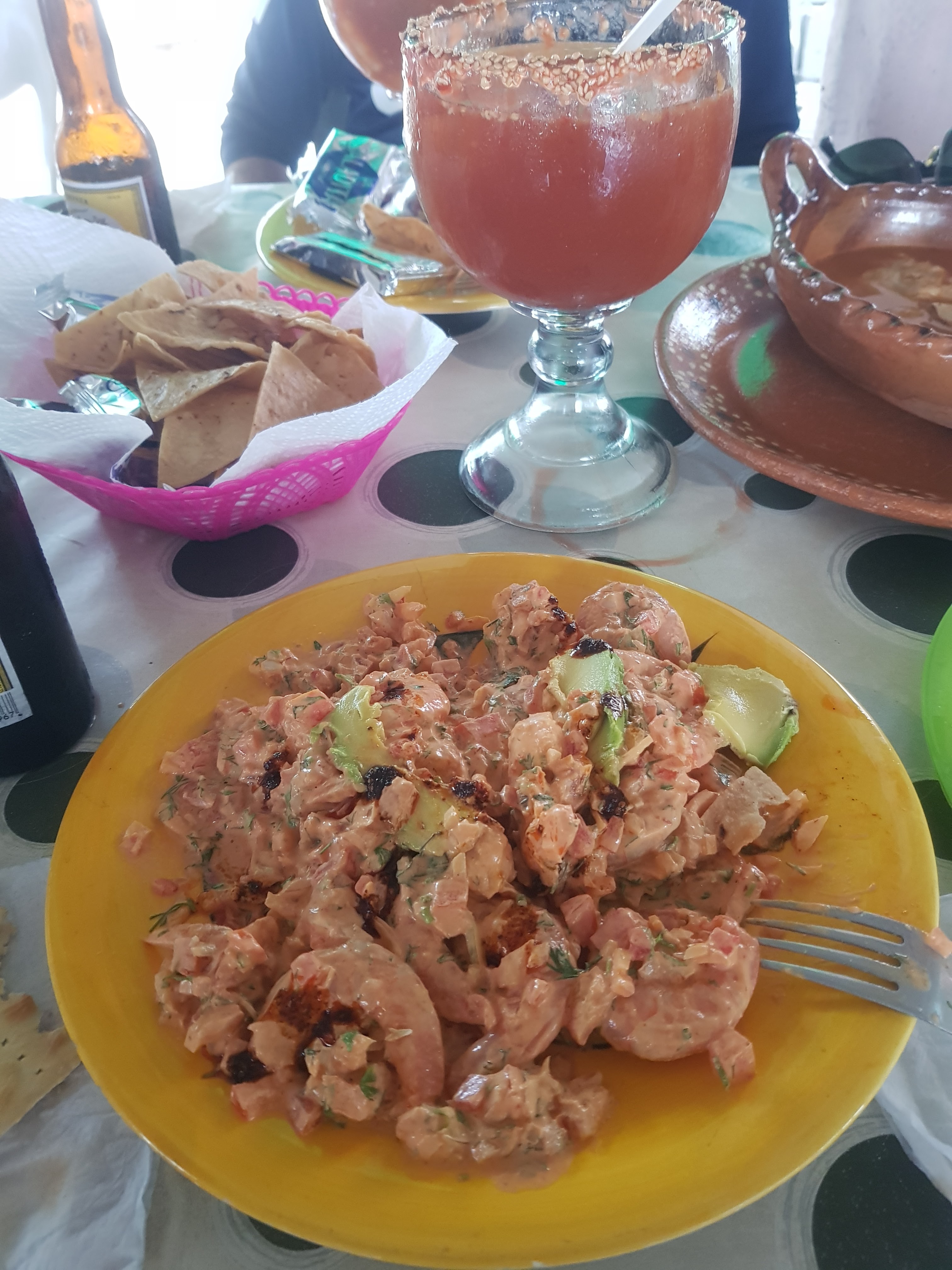 Palapa "fidelillos" image 2