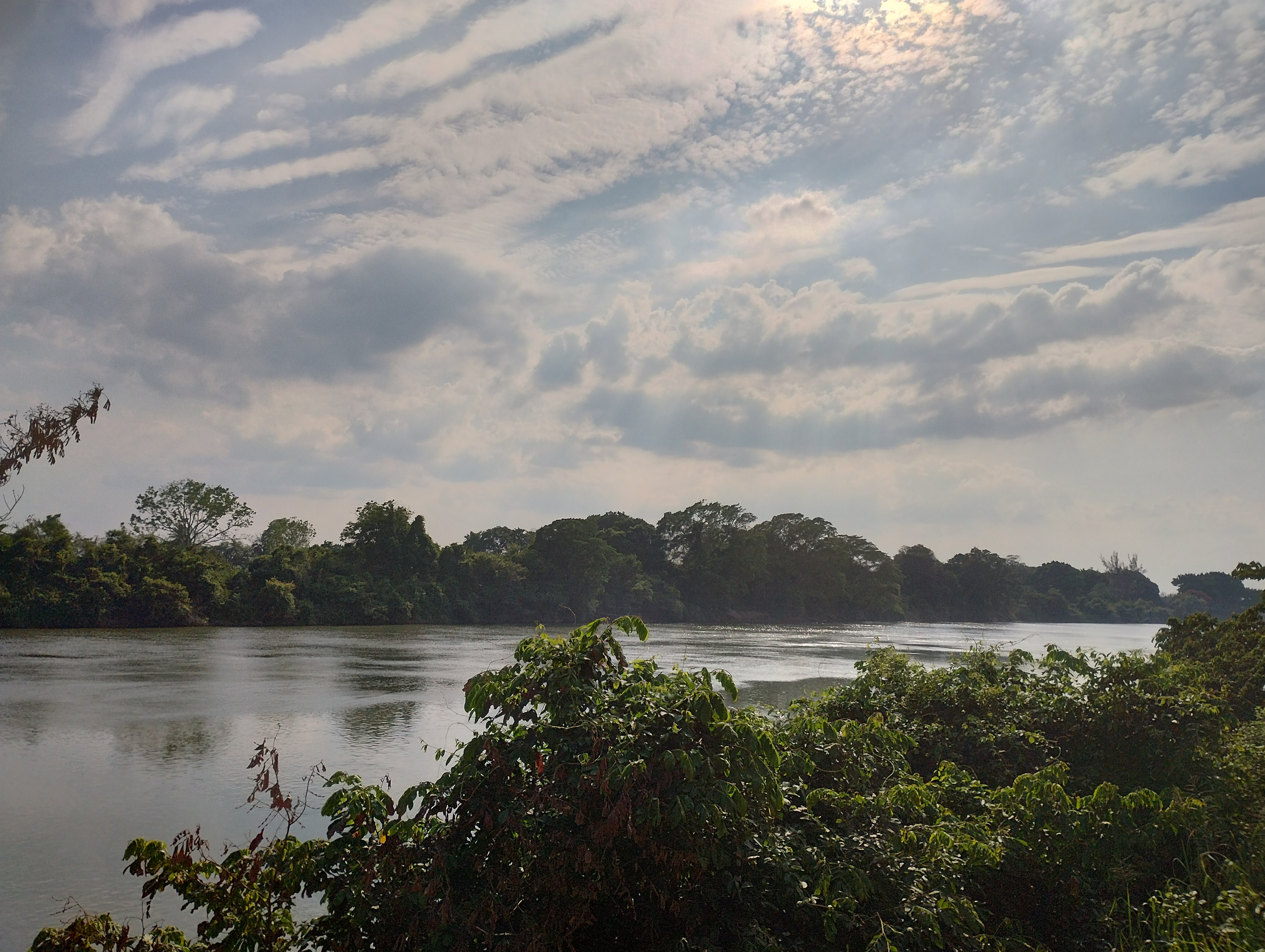 Palapa "fidelillos" image 3