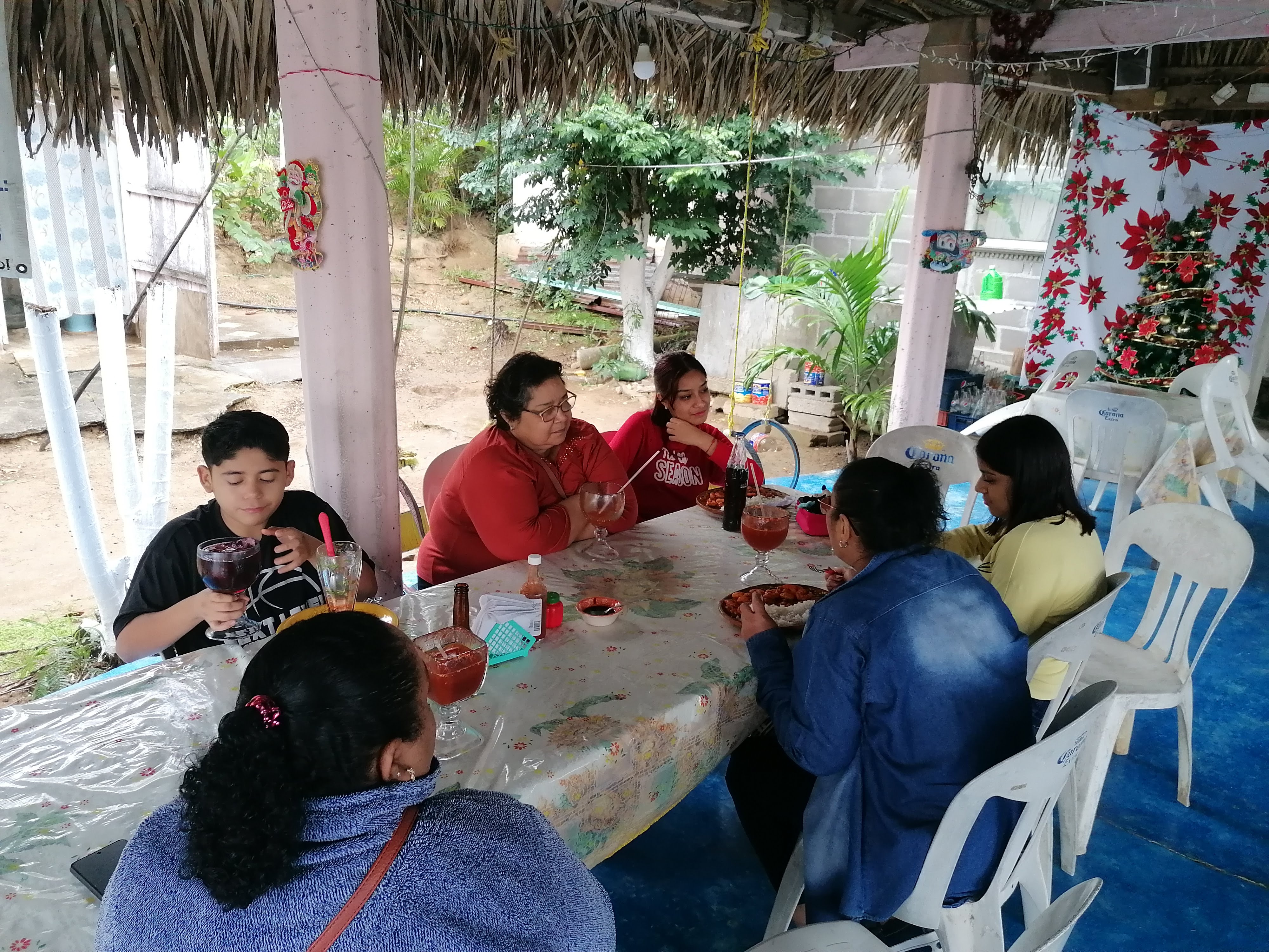 Palapa "fidelillos" image 4