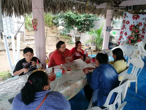Palapa "fidelillos" image 4