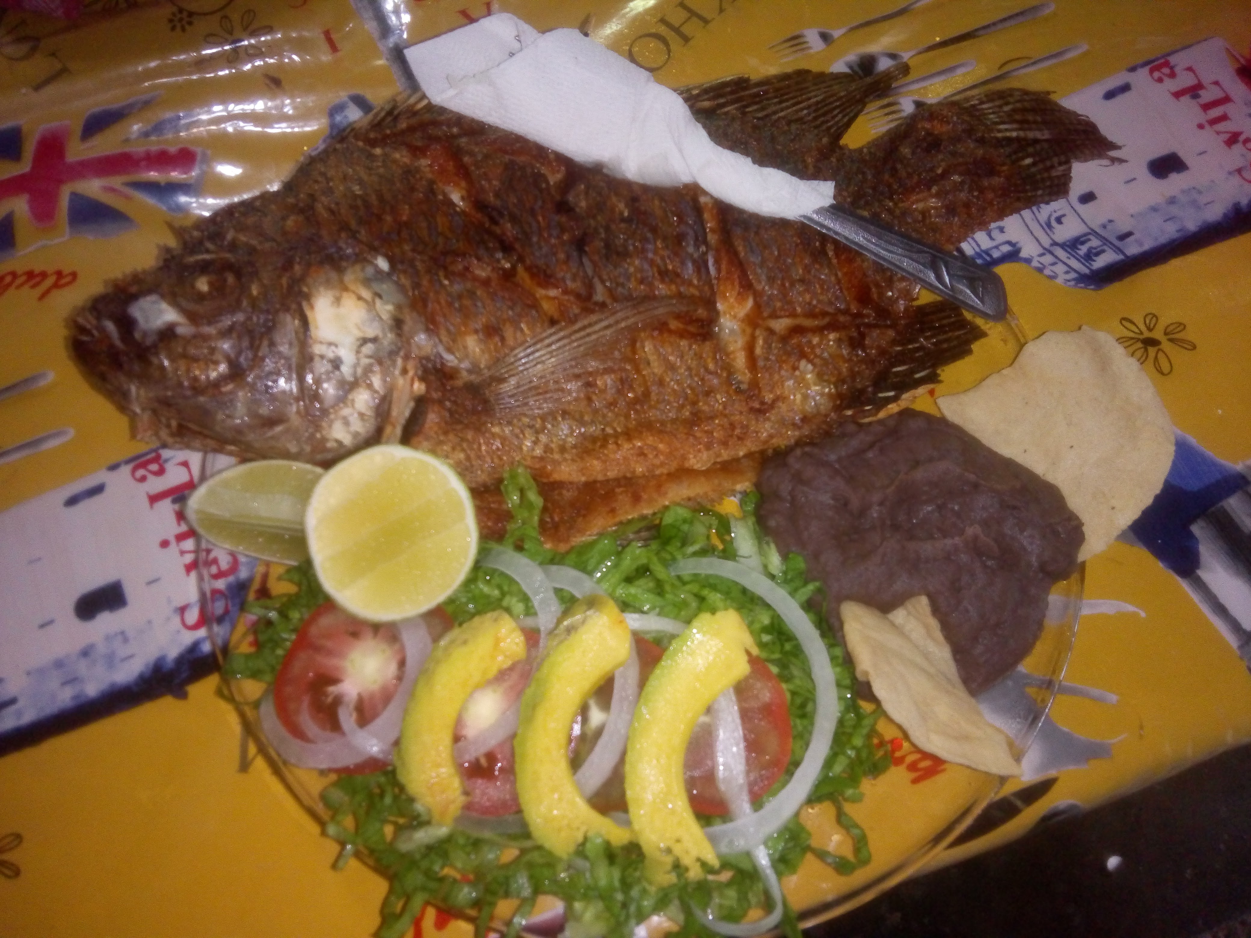 Palapa "fidelillos" image 5