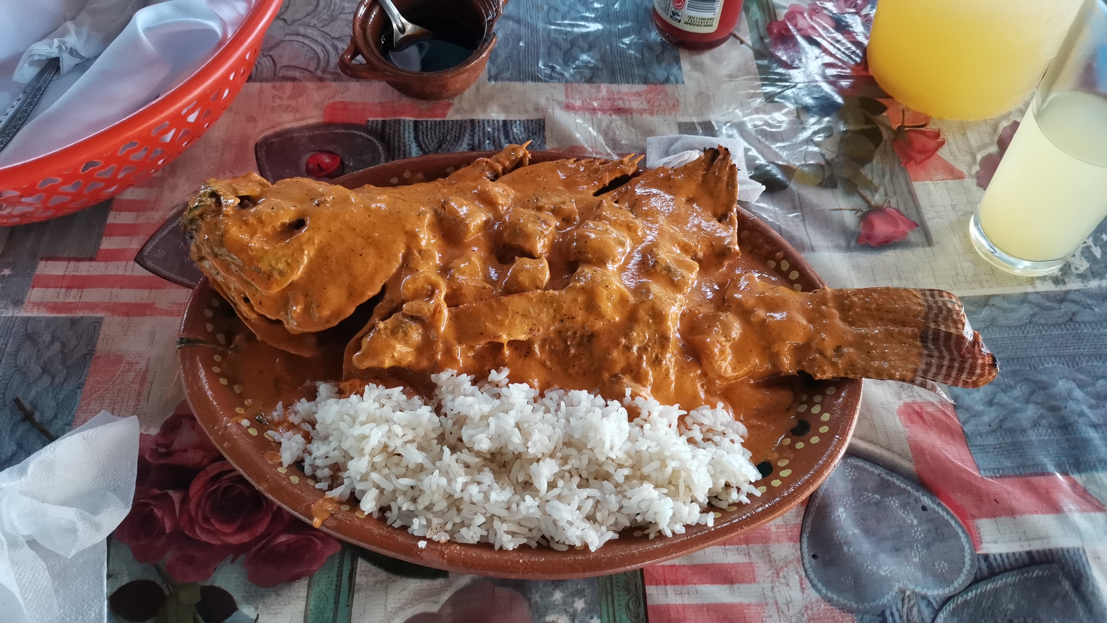 Palapa "fidelillos" image 6