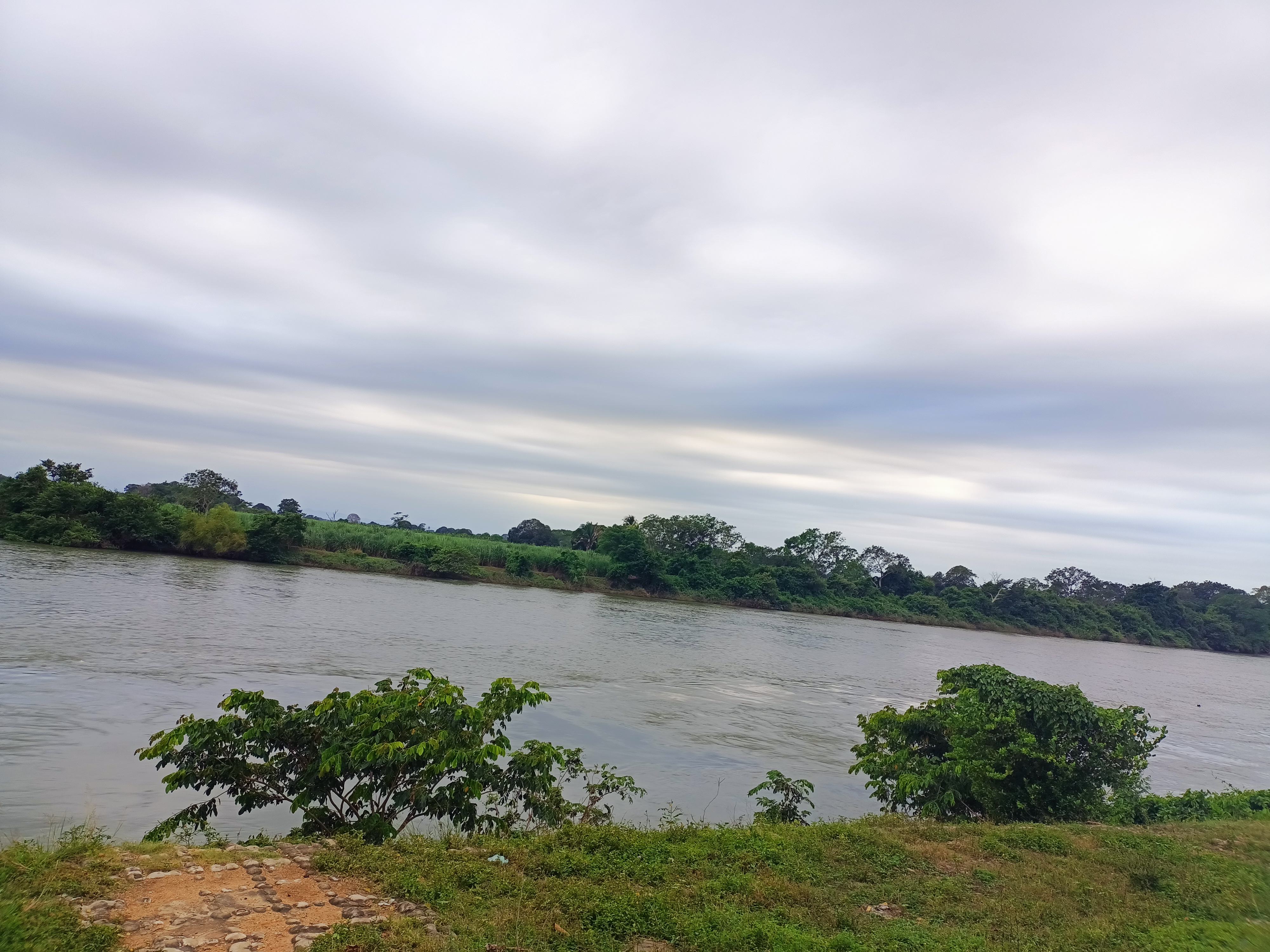 Palapa "fidelillos" image 7