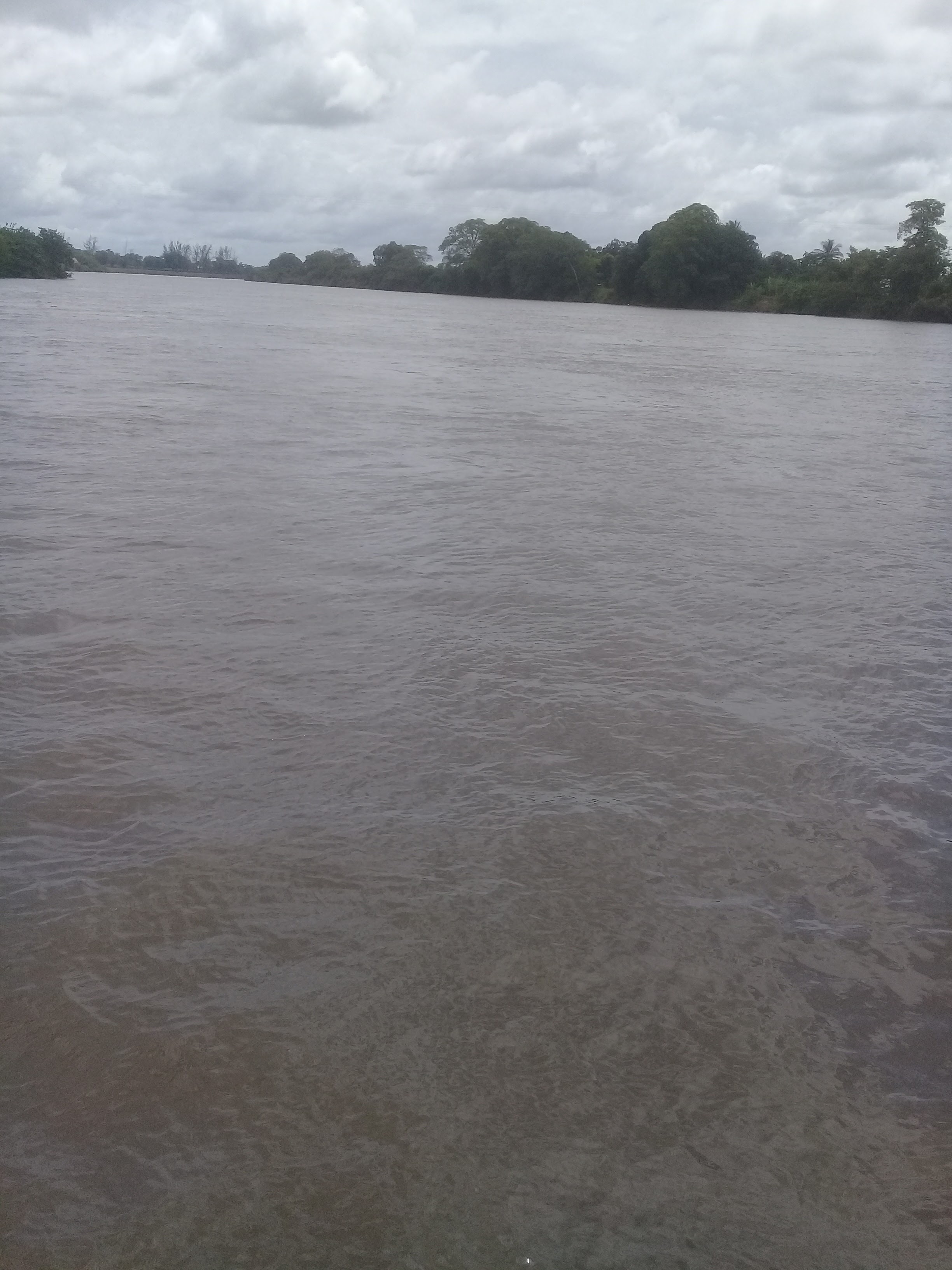 Restaurant "Lilia" image 1