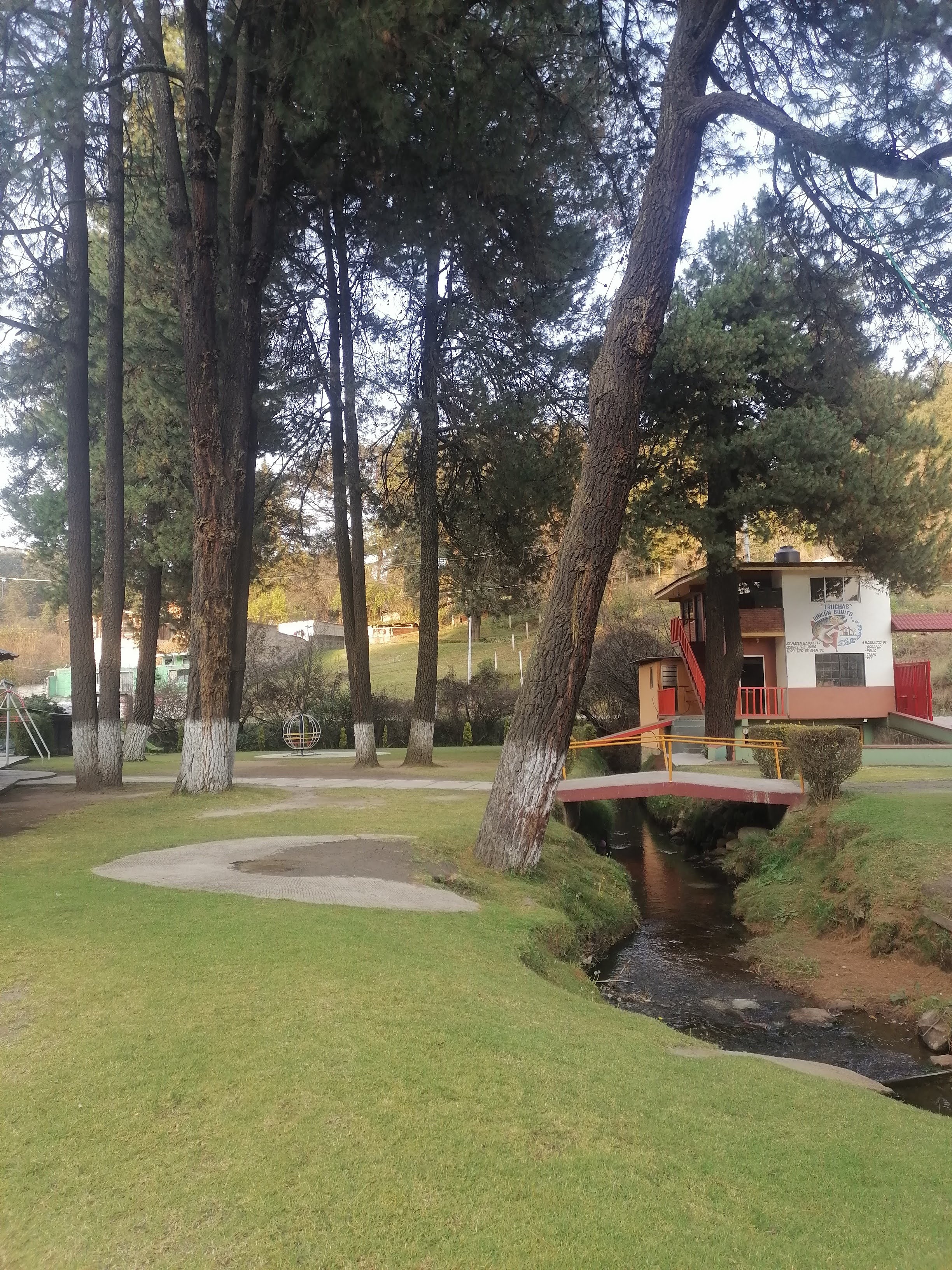 Restaurante Rincón Bonito image 5