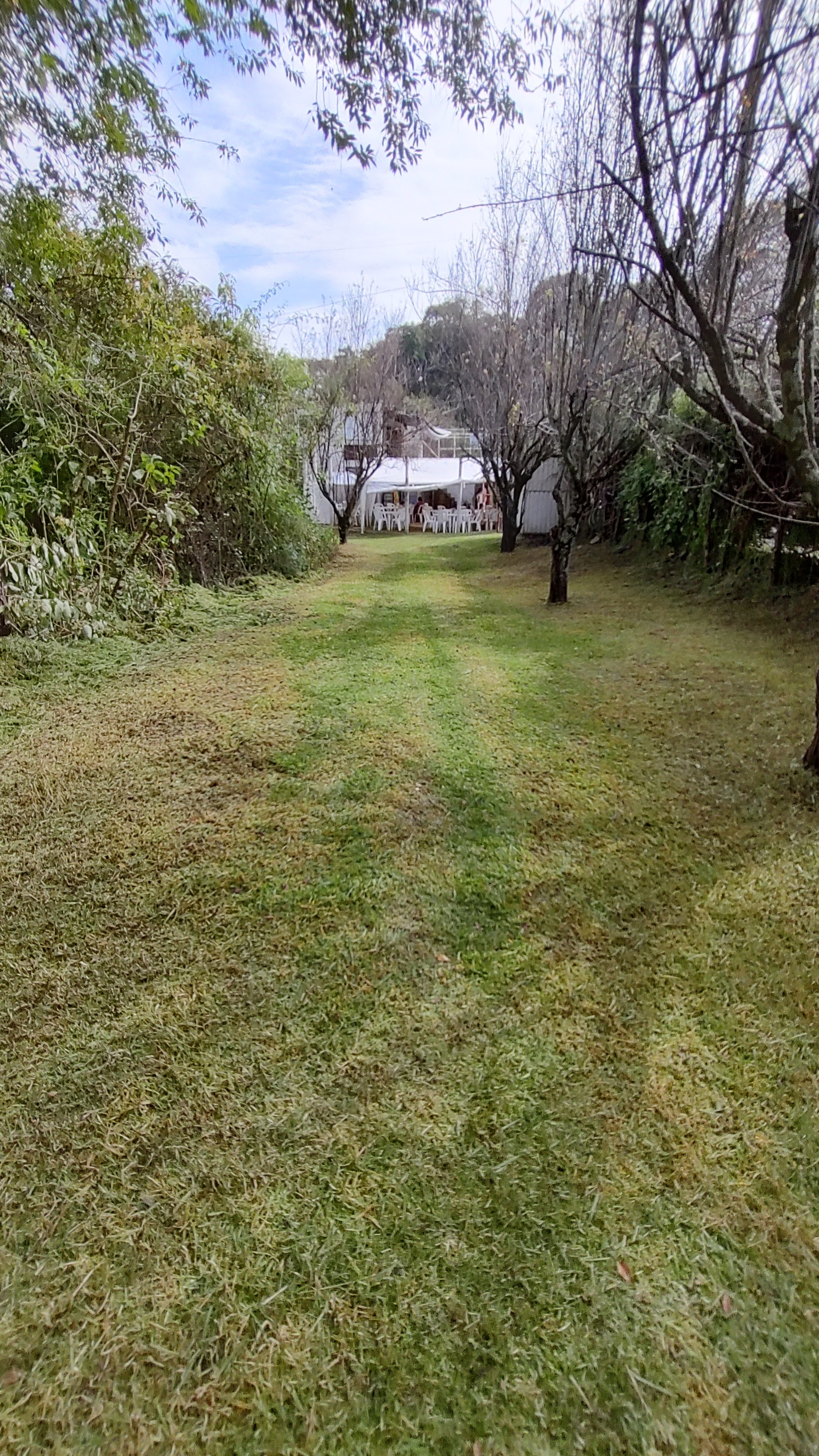 Los Cedros San Francisco image 3