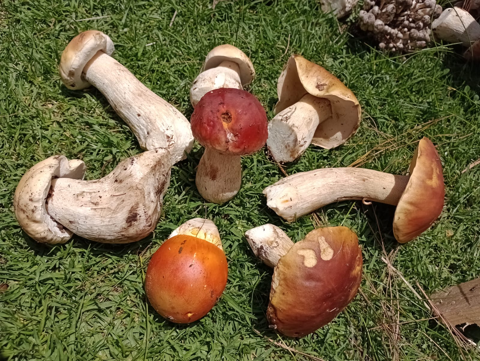 Desarrollo Ecoturístico Tres Piedras image 1