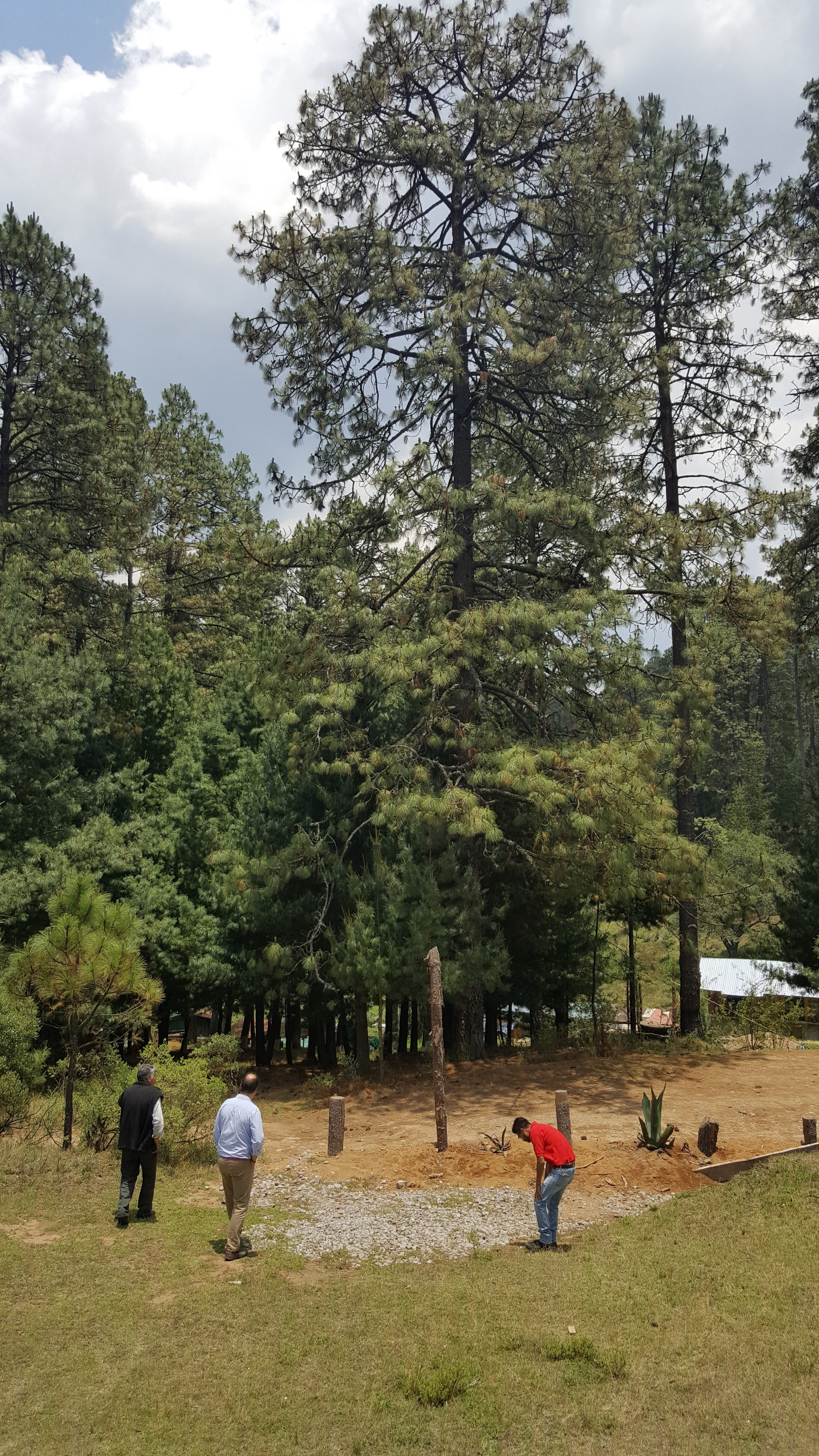 Desarrollo Ecoturístico Tres Piedras image 3