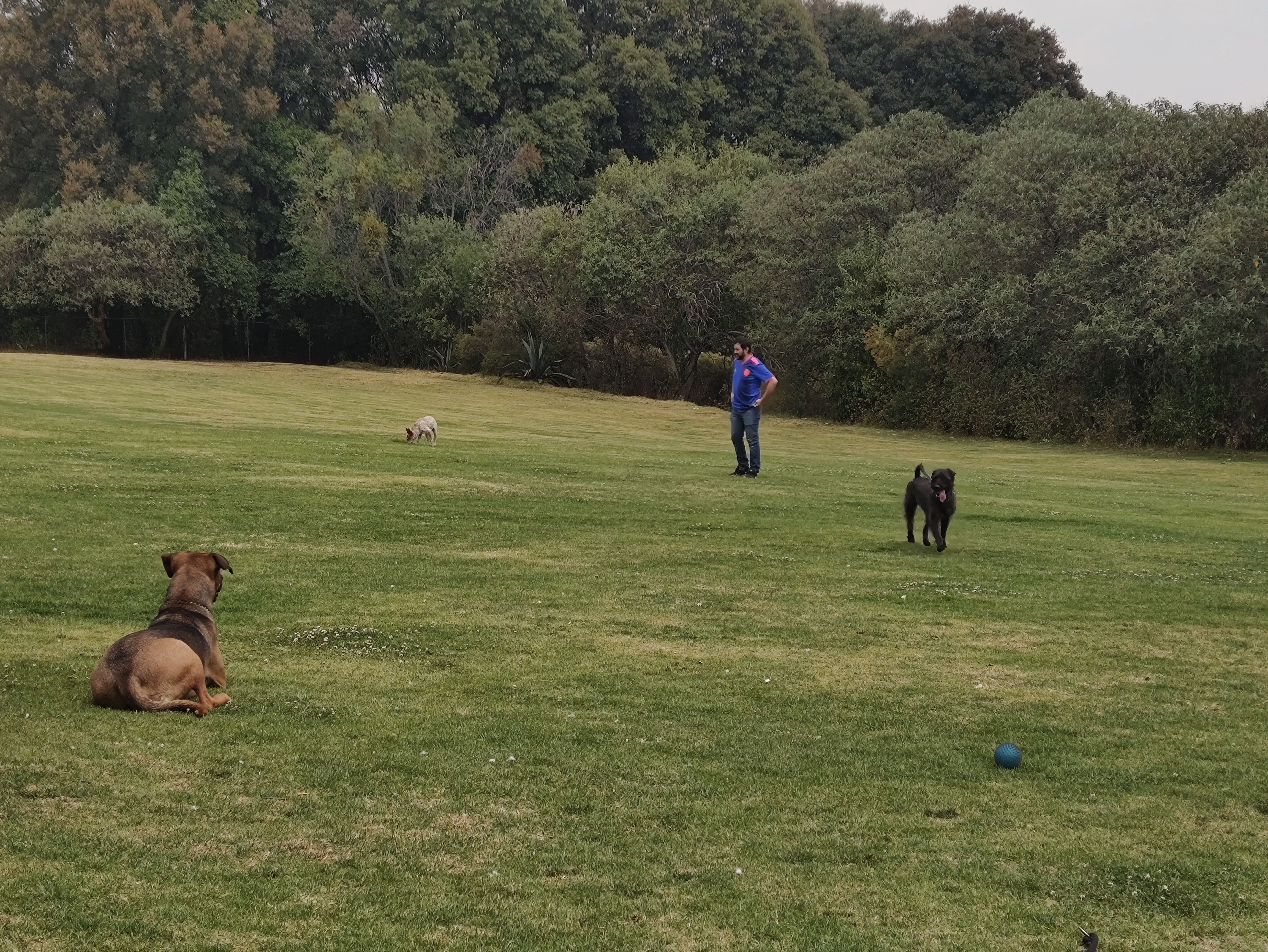 La Cabaña JIP image 5