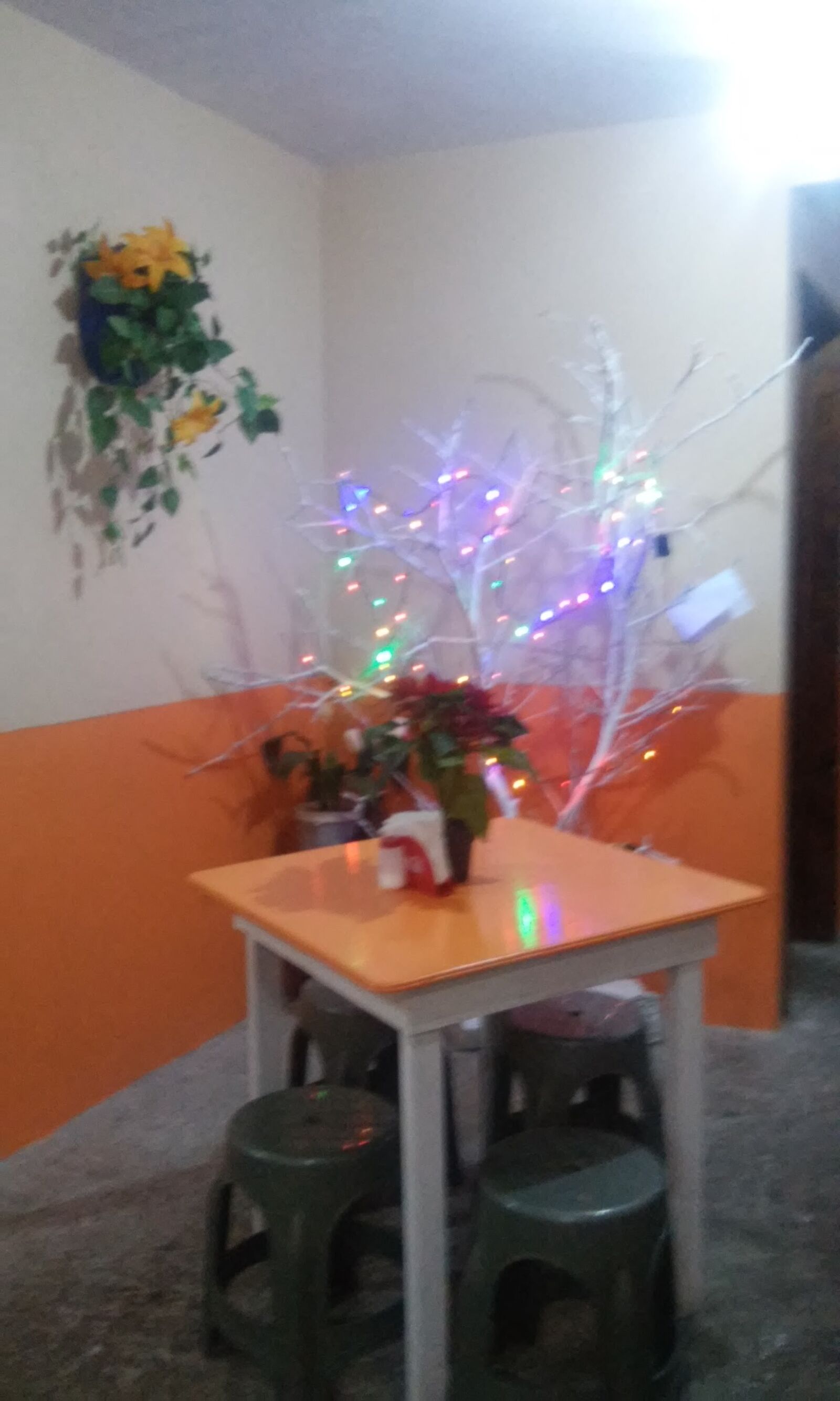 Taquería Don Andres image 4