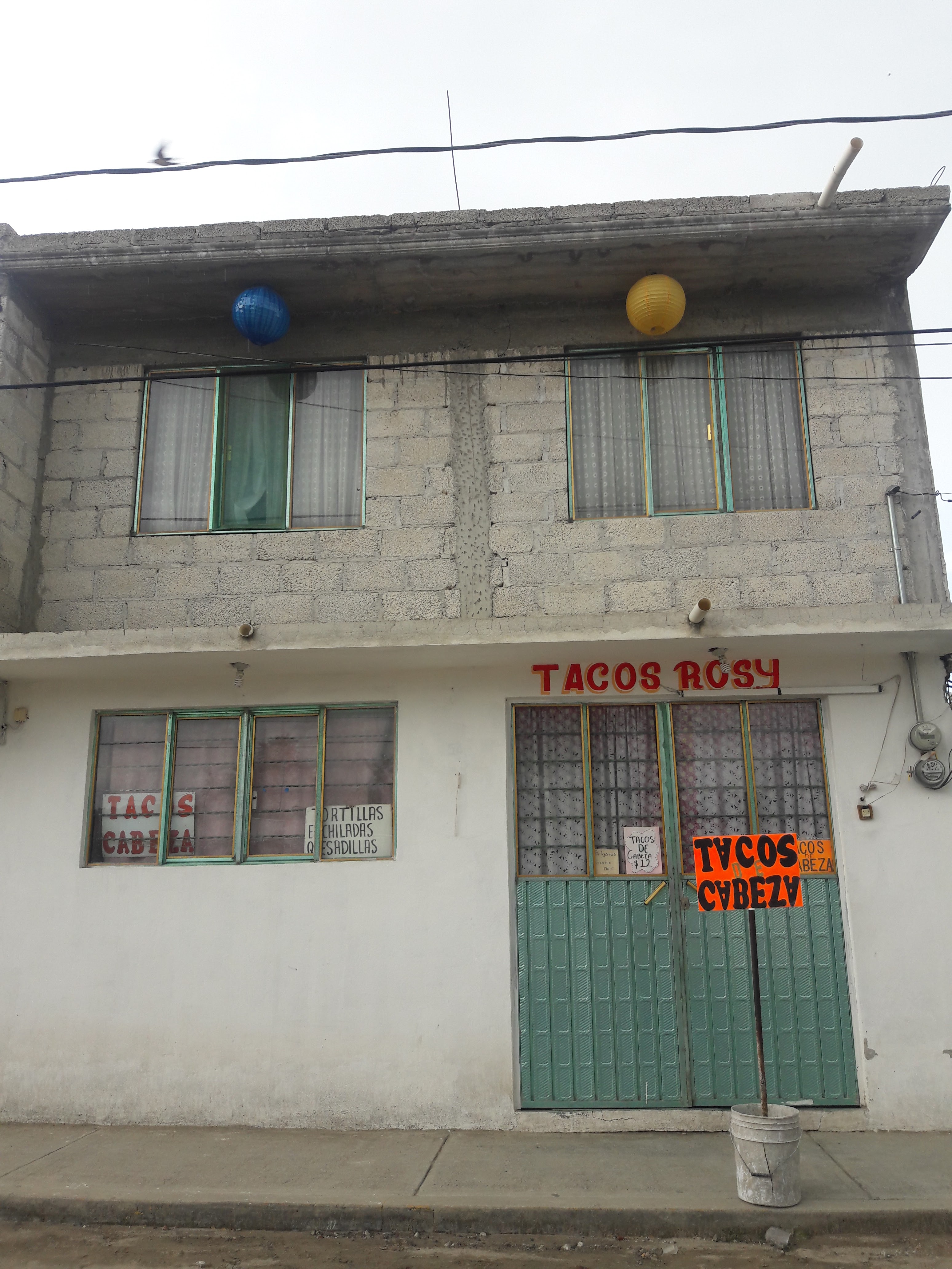 TACOS DE CABEZA "ROSY" image 5