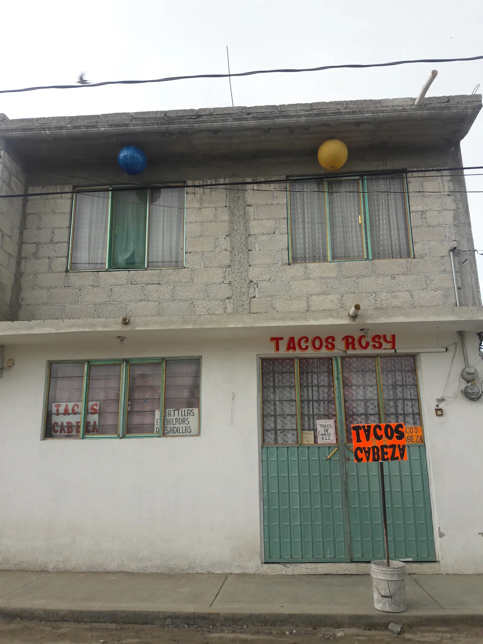 TACOS DE CABEZA "ROSY" image 5