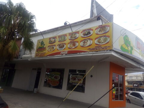Dinos JR image 4