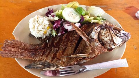 Moctezuma Restaurante de Pescados y Mariscos image 8
