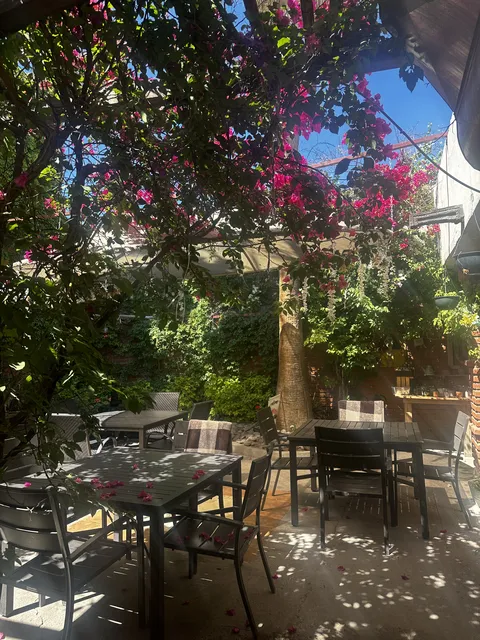 Green Restaurant image 1