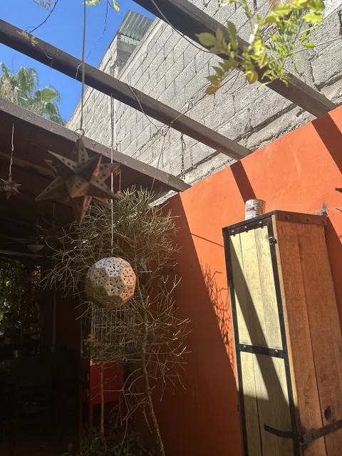Green Restaurant image 8