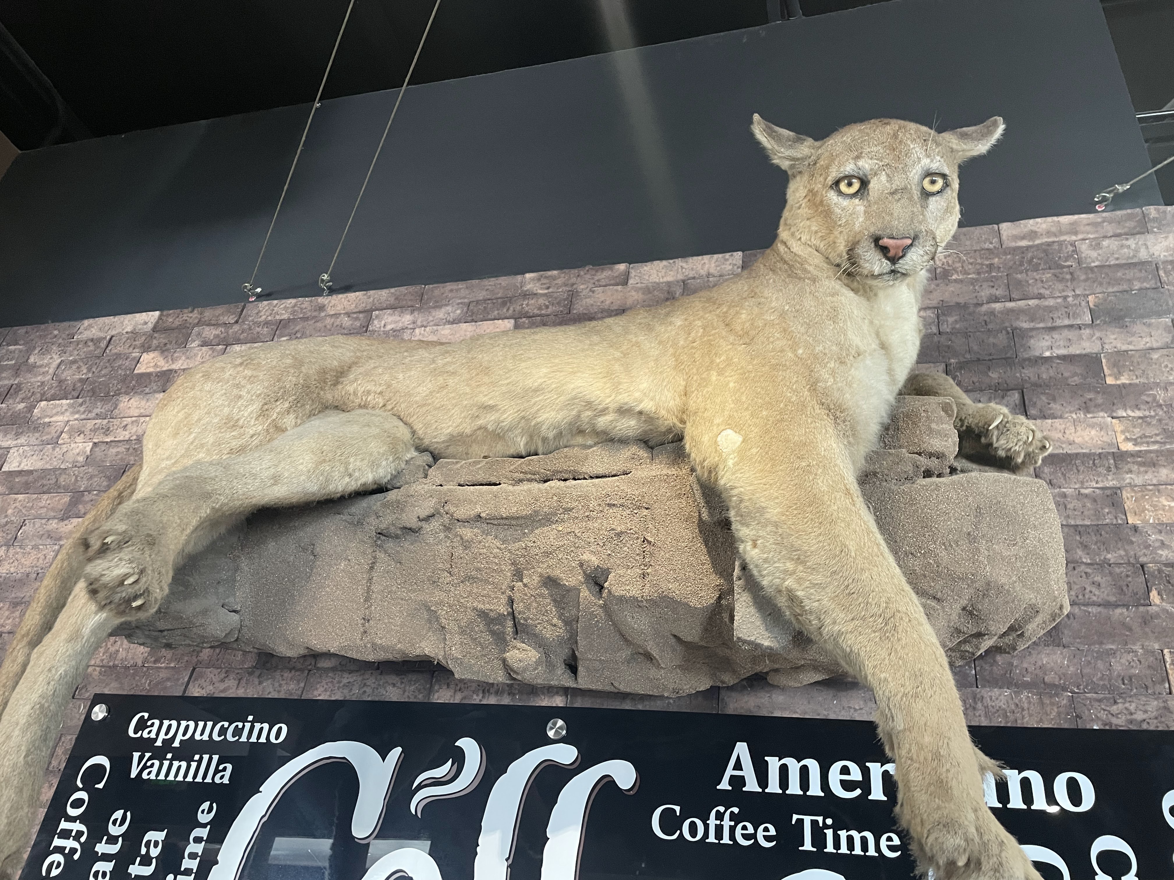 Pizzería La Sierra Meoqui image 7