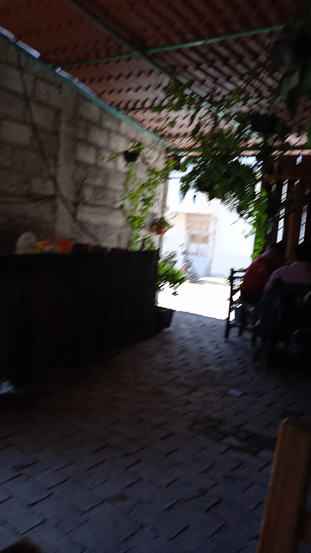 Barbacoa julia image 6