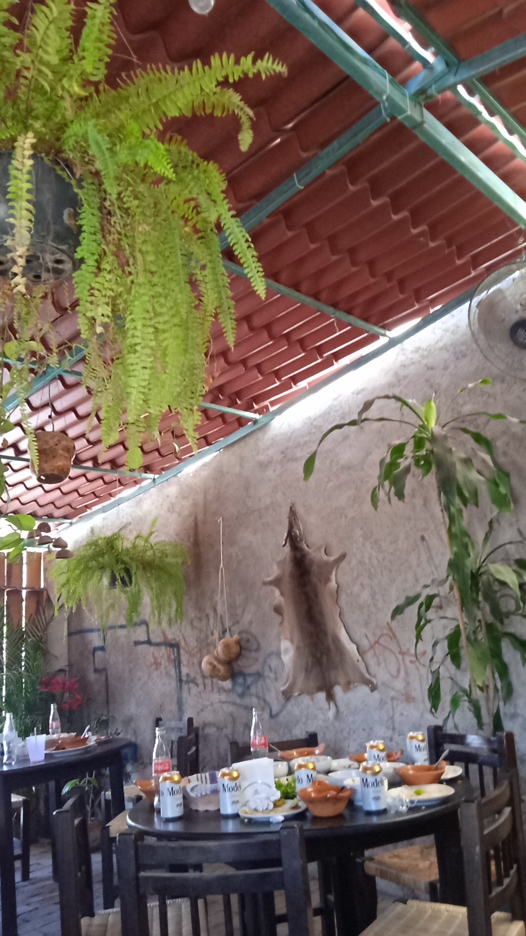 Barbacoa julia image 7