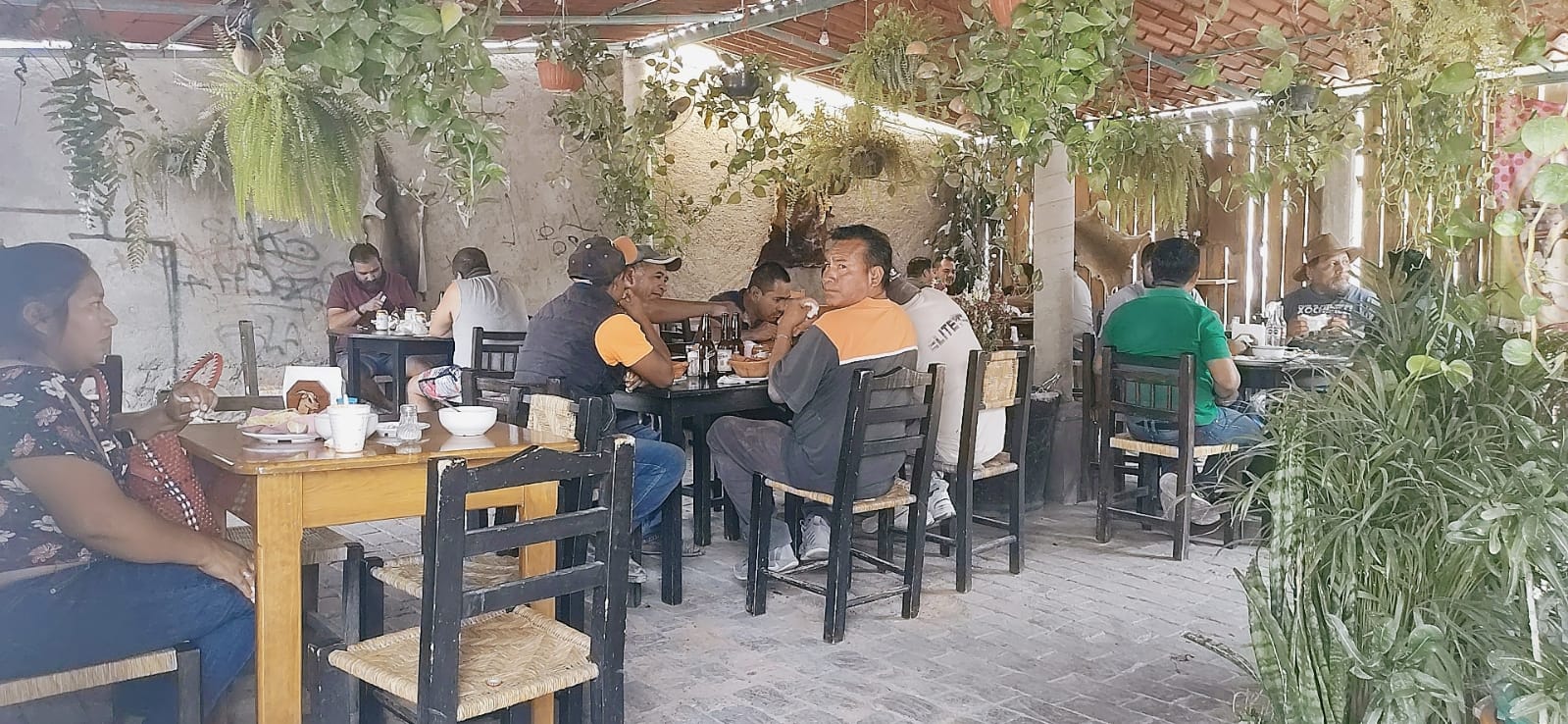 Barbacoa julia image 8