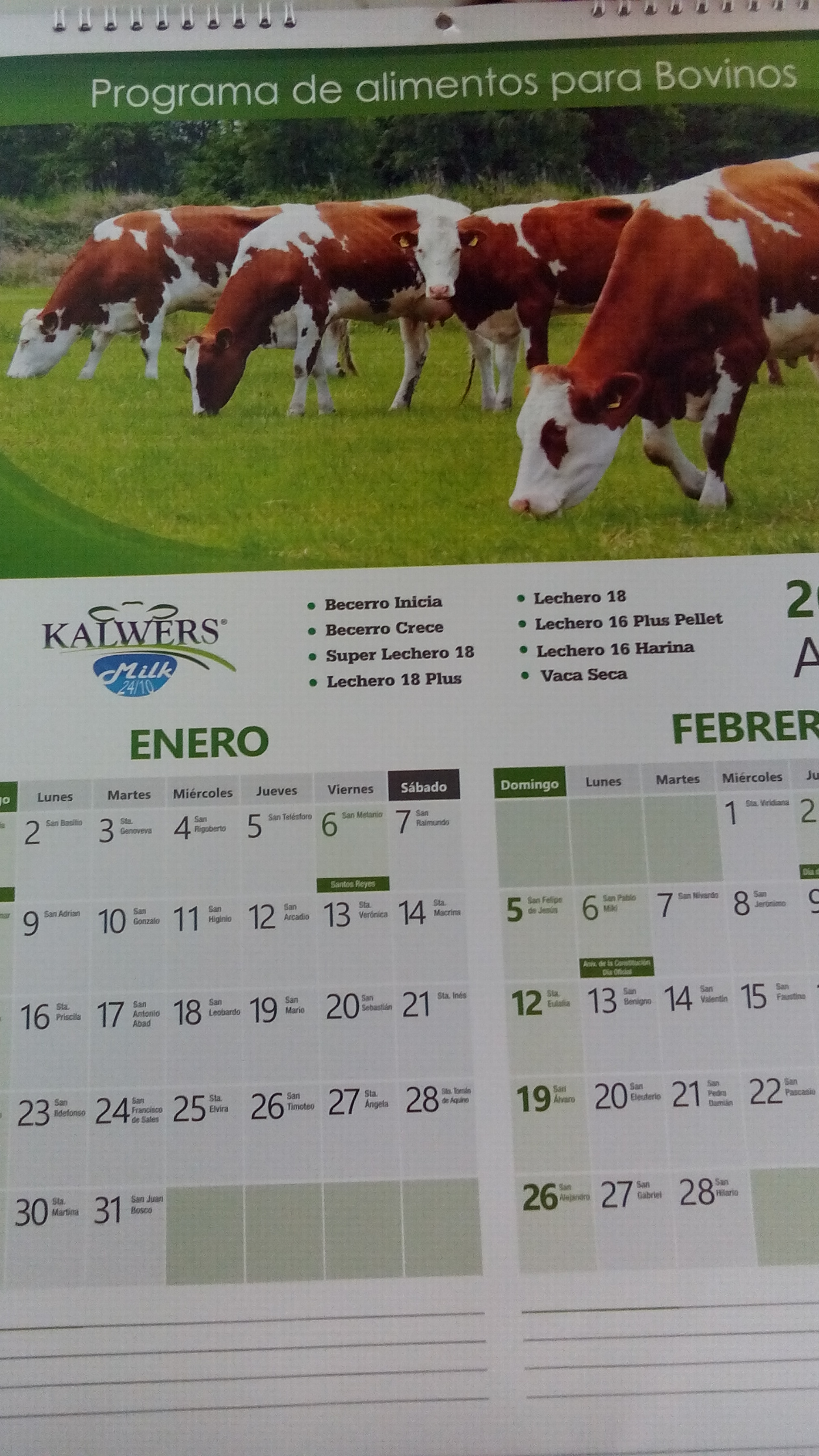 Pizzeria Nazareth image 4