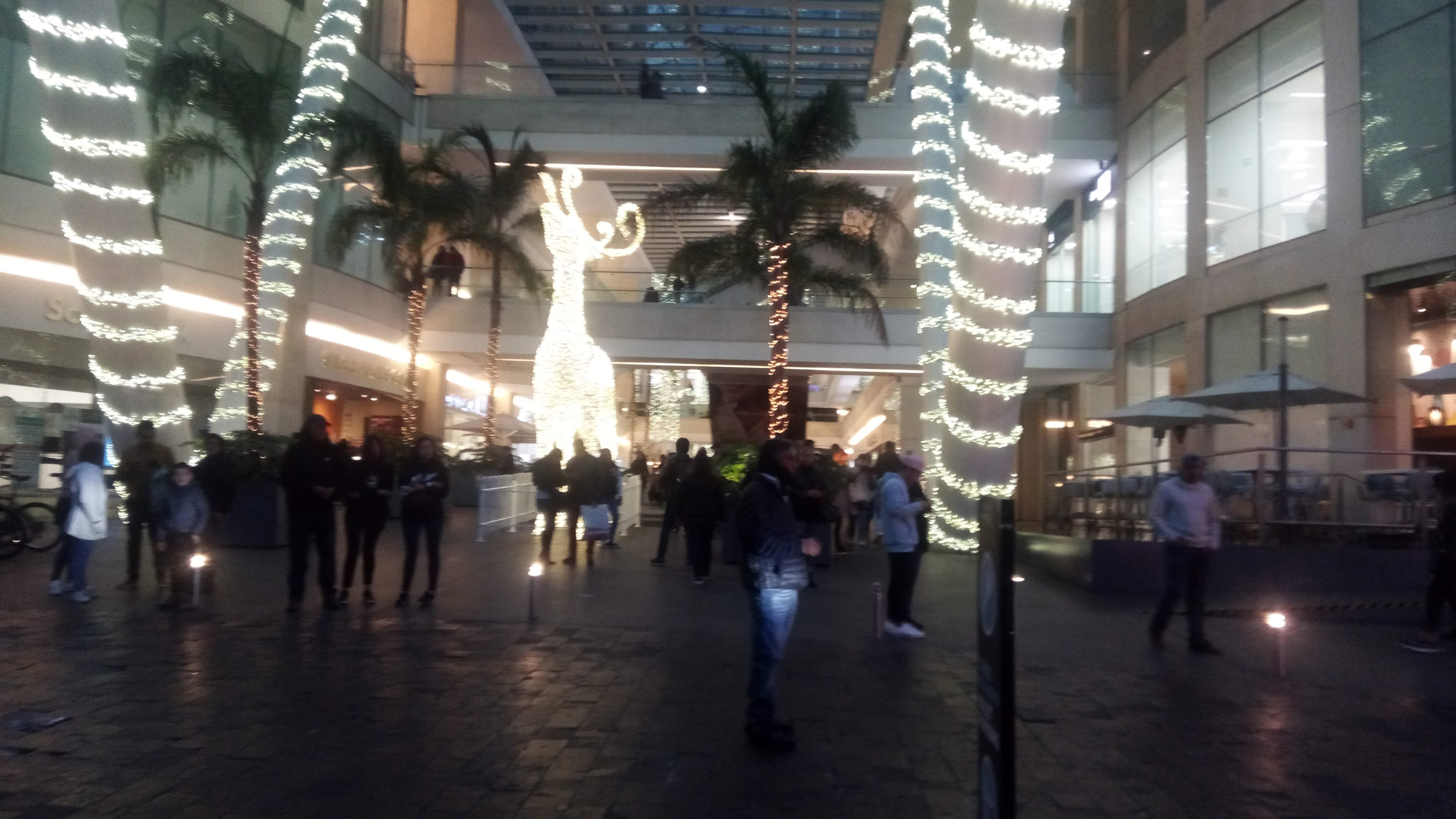 Micheloyas VIP image 5